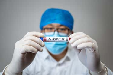 Le streptocoque du groupe A est une bactérie responsables d'infections qui peuvent être mortelles et les cas infections sont en augmentation. © Jun Li, Adobe Stock