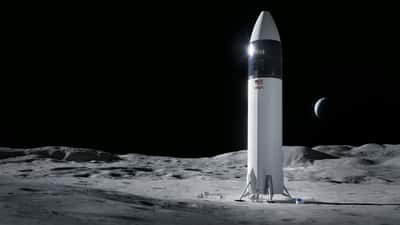 Le Starship HLS, alunisseur sélectionné par la Nasa pour le programme Artemis. Un pari risqué, le Starship n'ayant pas encore effectué de vol orbital... © SpaceX