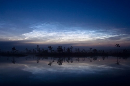 Les nuages noctulescents sont les nuages les plus hauts au monde : ils se forment à plus de 70 km d'altitude. © Martin Koitmäe, Wikipédia, GNU 1.2