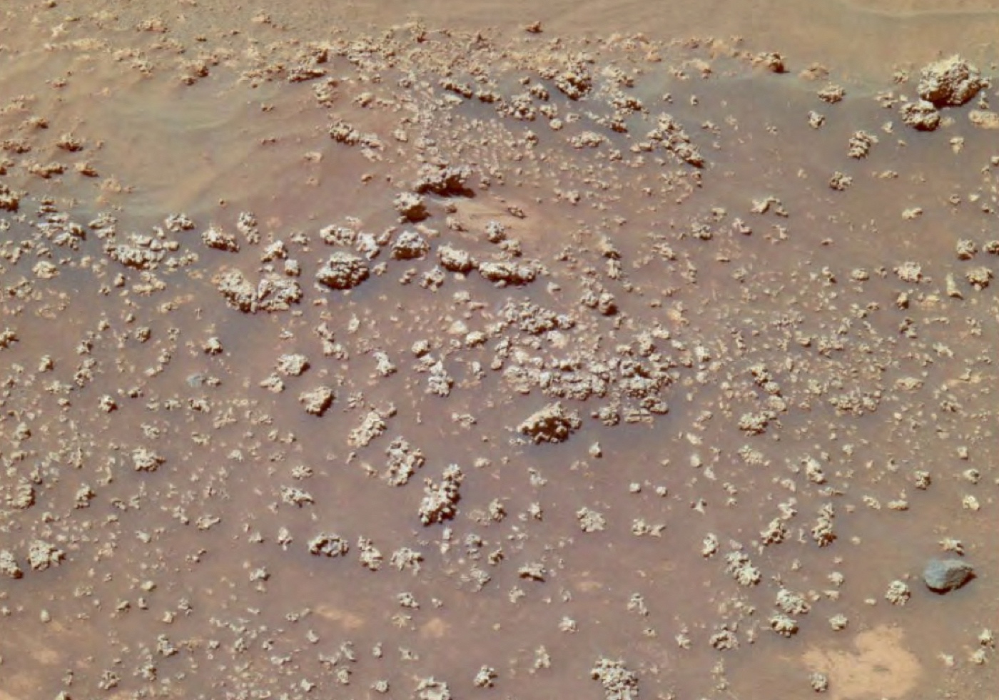 Structures de silice en forme de choux-fleurs découverts sur Mars par Spirit, en 2008, à proximité du site Home Plate. © Nasa, JPL-Caltech