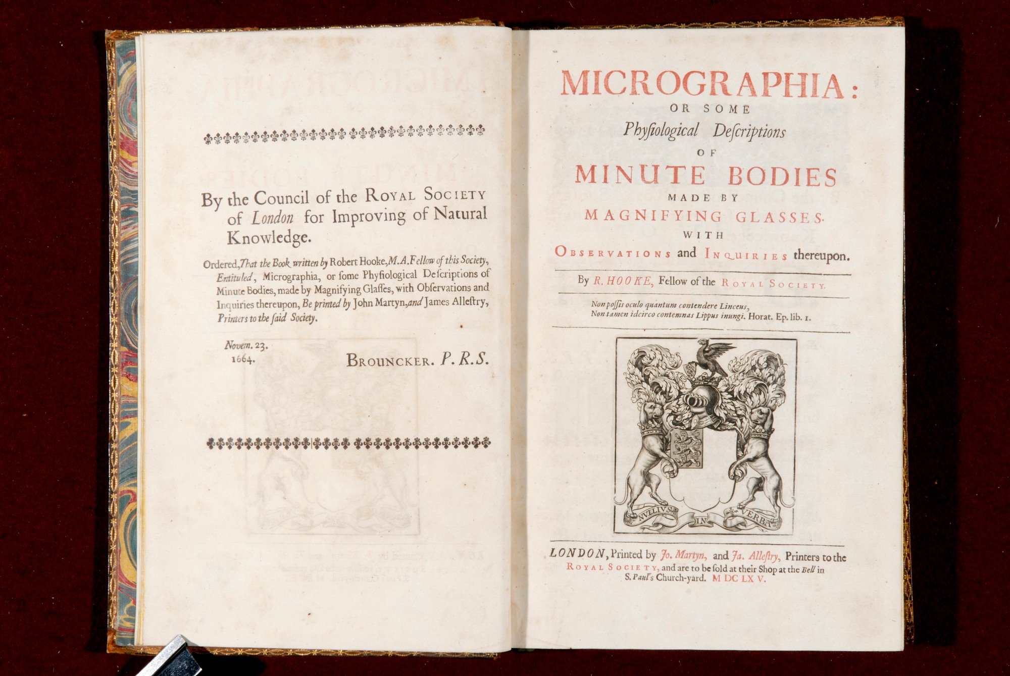 Micrographia, l'un des plus beaux livres de science jamais publiés.&nbsp;© Royal Collection Trust