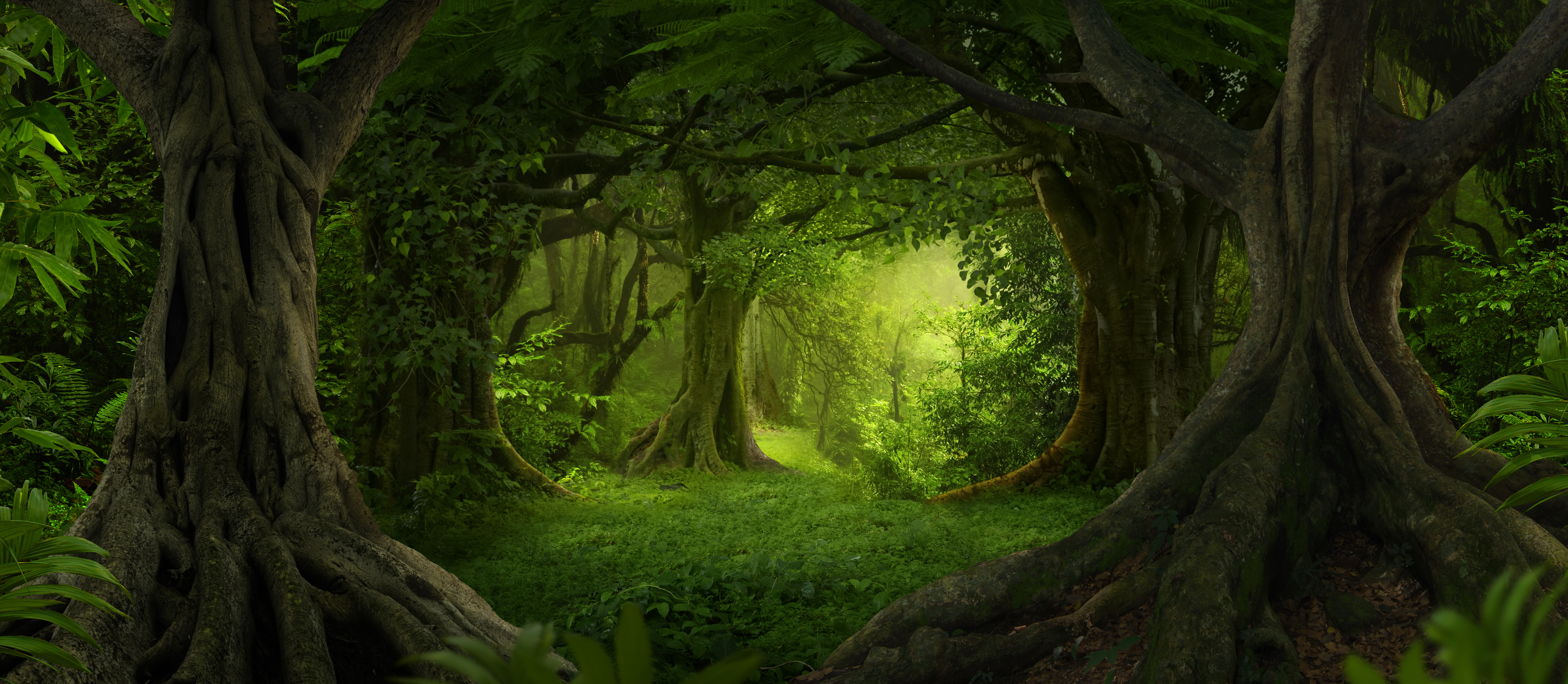 Le moteur de recherche Ecosia aurait permis de planter plus de 82 millions d'arbres. © Quickshooting, Adobe Stock