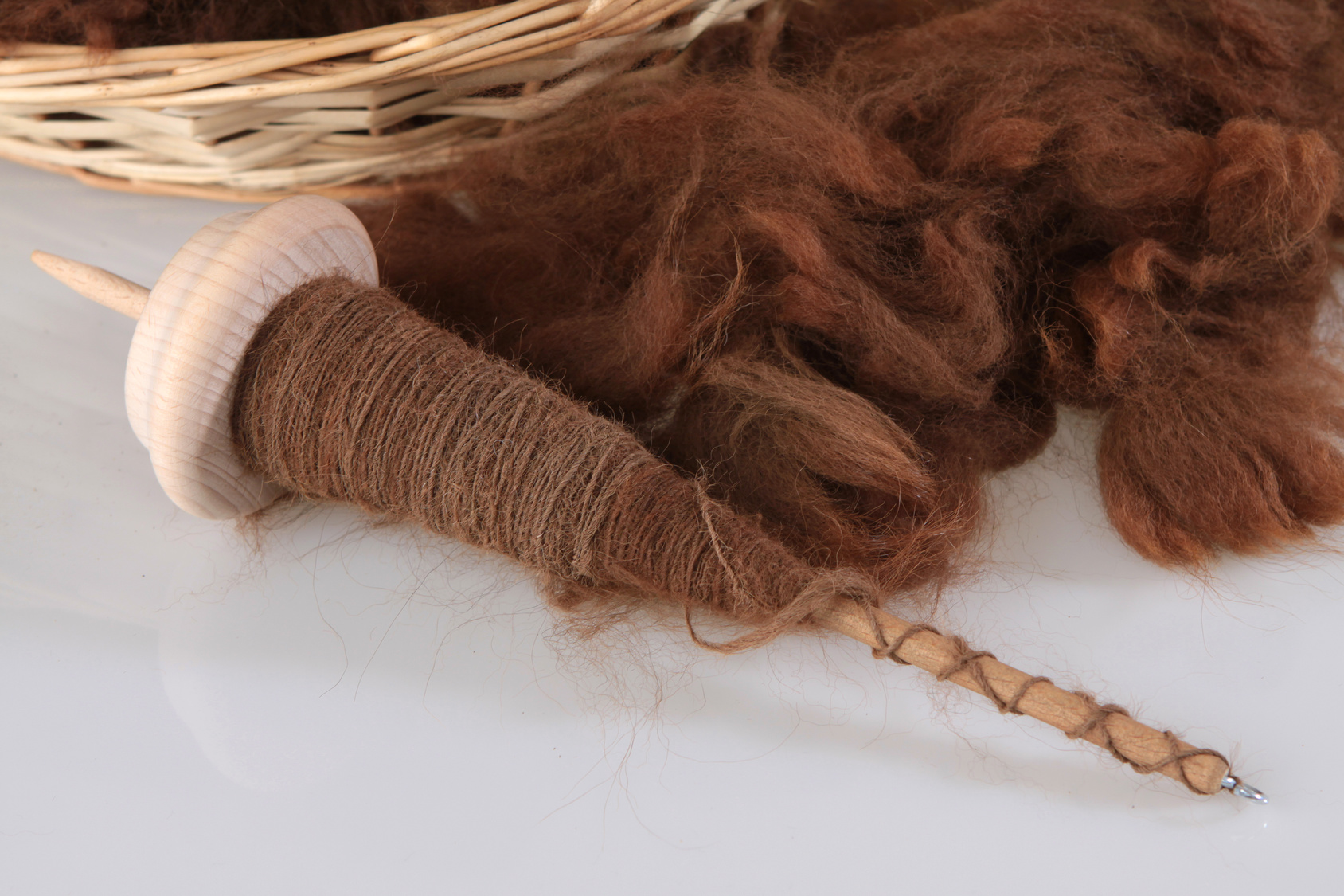 L’alpaga est réputé pour sa laine particulièrement fine et douce. © Karina Baumgart, Fotolia