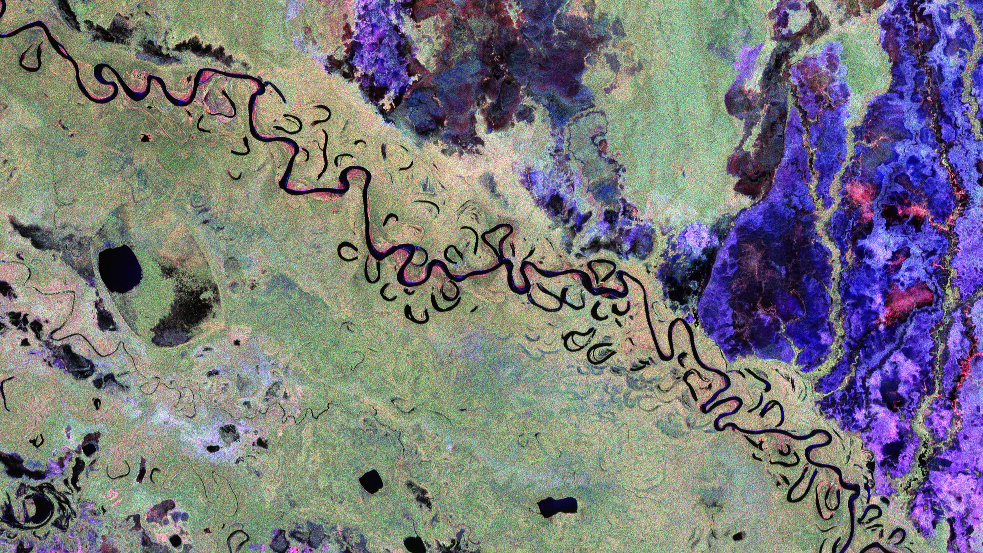 La forêt bolivienne vue par Biomass. La forêt tropicale est en vert, les régions humides sont en rouge, les prairies sont en bleu-violet, et les lacs et cours d'eau sont en noir. © ESA