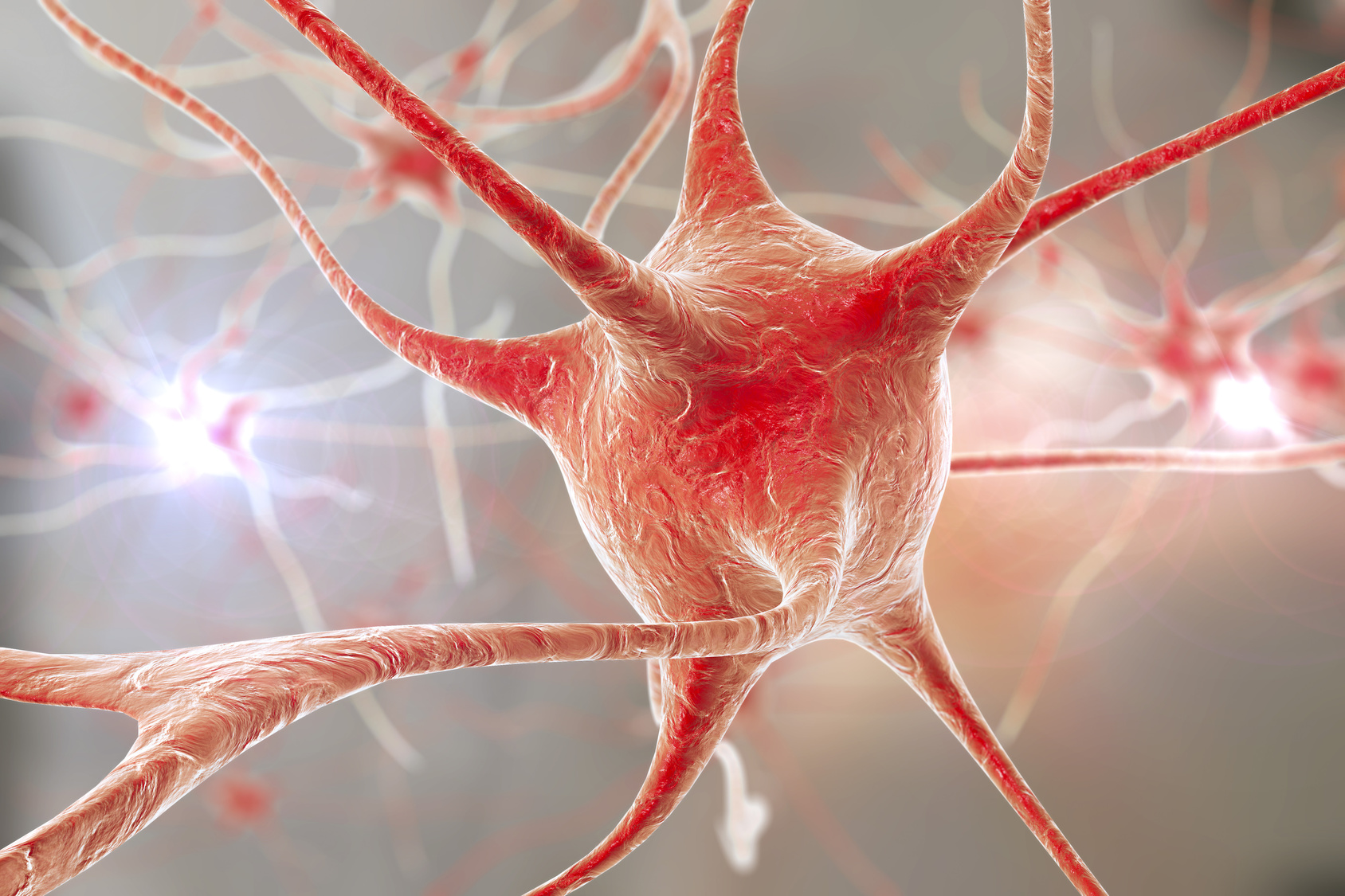 Le fonctionnement des neurones, les cellules du cerveau par où circule l'influx nerveux, reste mal connu. © Kateryna_Kon, Fotolia