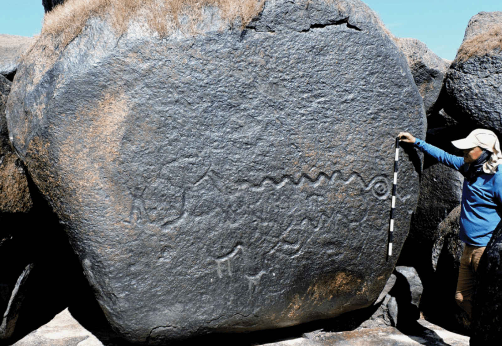 Les gravures retrouvées sur les roches le long de l’Orinoco sont particulièrement massives, certaines mesurant plus de 40 mètres. © Riris, Oliver, Mendieta and al.