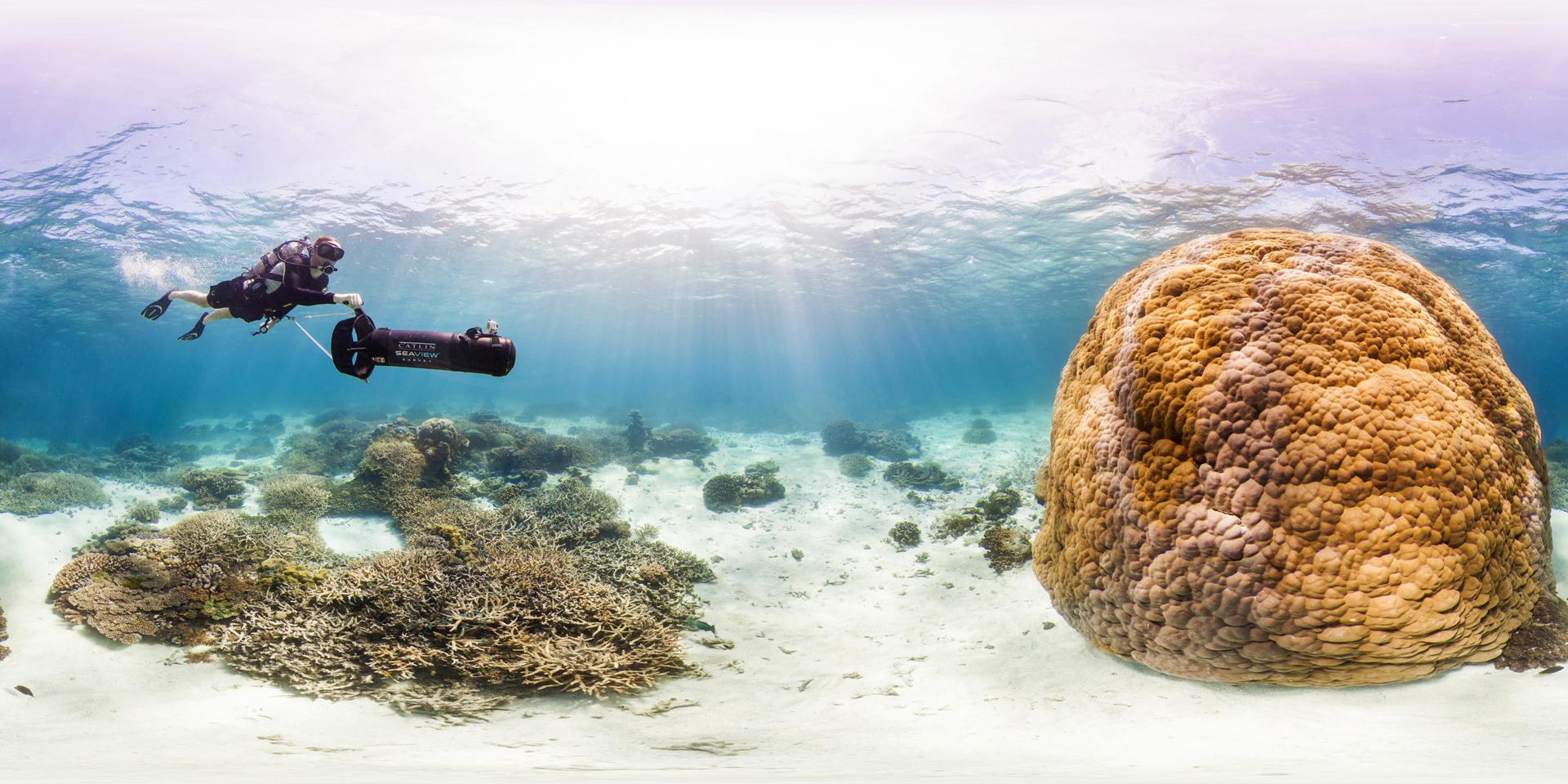 Philippe Cousteau en plongée avec le Catlin Seaview Survey en Australie sur le récif corallien de Wilson Island. © Catlin Seaview Survey