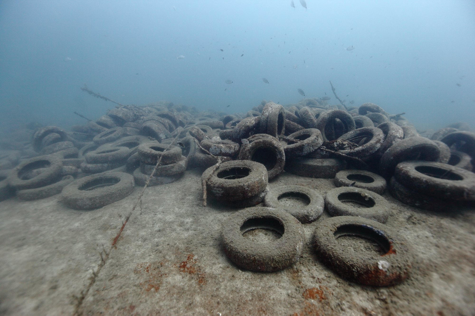 Les récifs en pneus n’ont pas résisté à la houle et aux courants et se sont écroulés puis disséminés. © Jérôme Espla / Poisson-Lune Productions