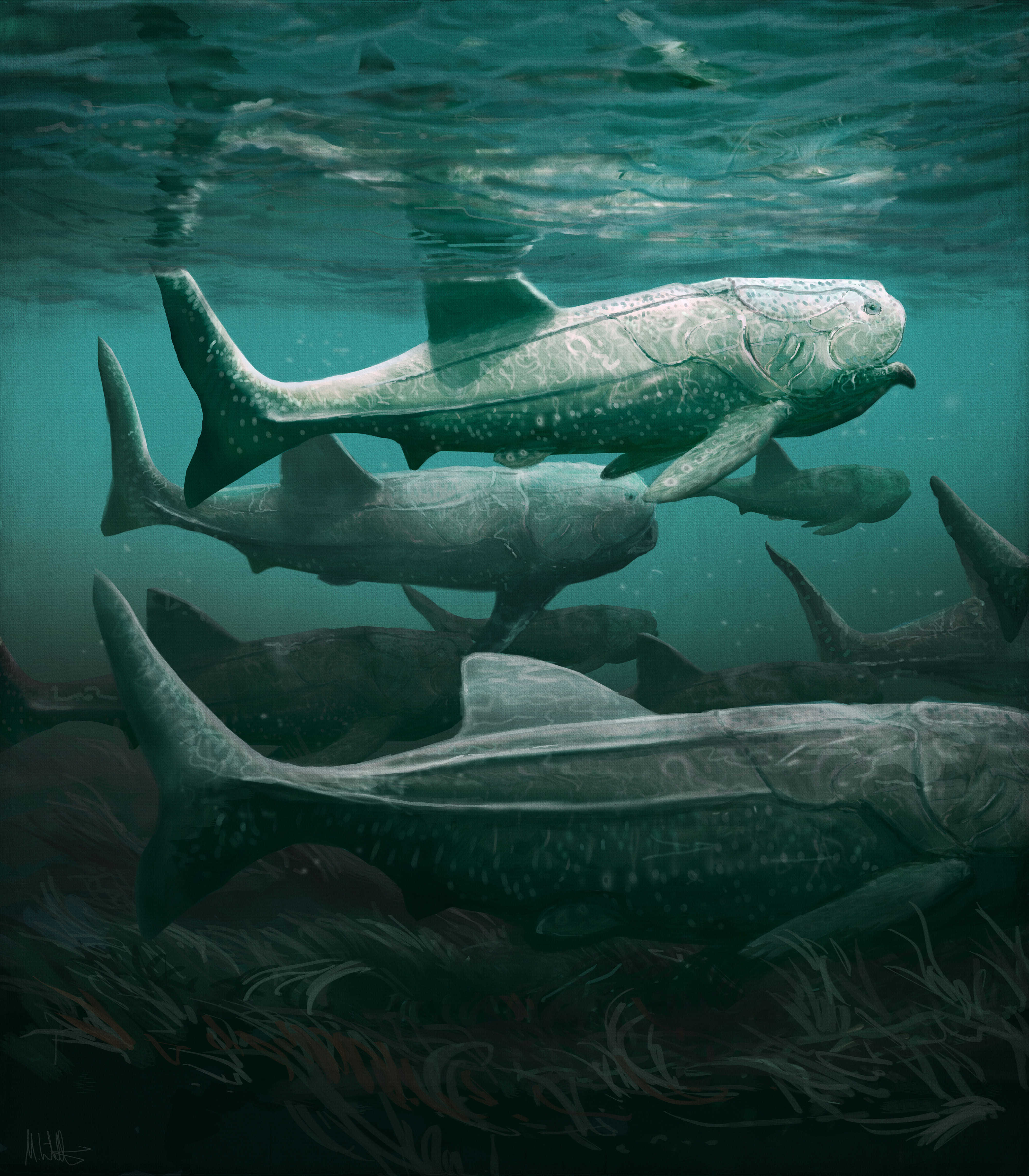 Vue d'artiste de Titanichthys. © Mark Witton