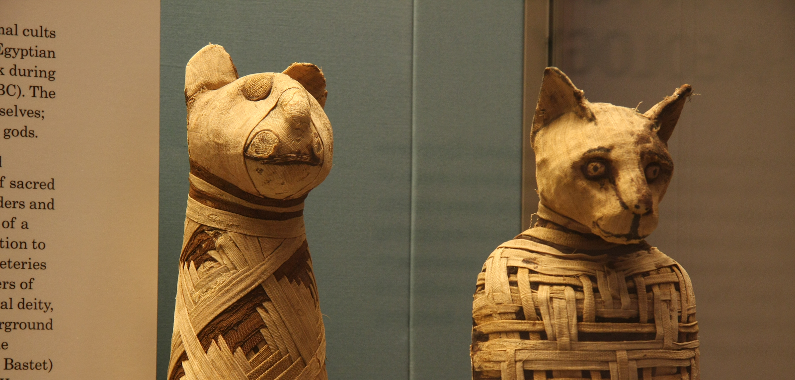 Momies animales égyptiennes. © Mario Sánchez, British museum, CC by-sa 2.0