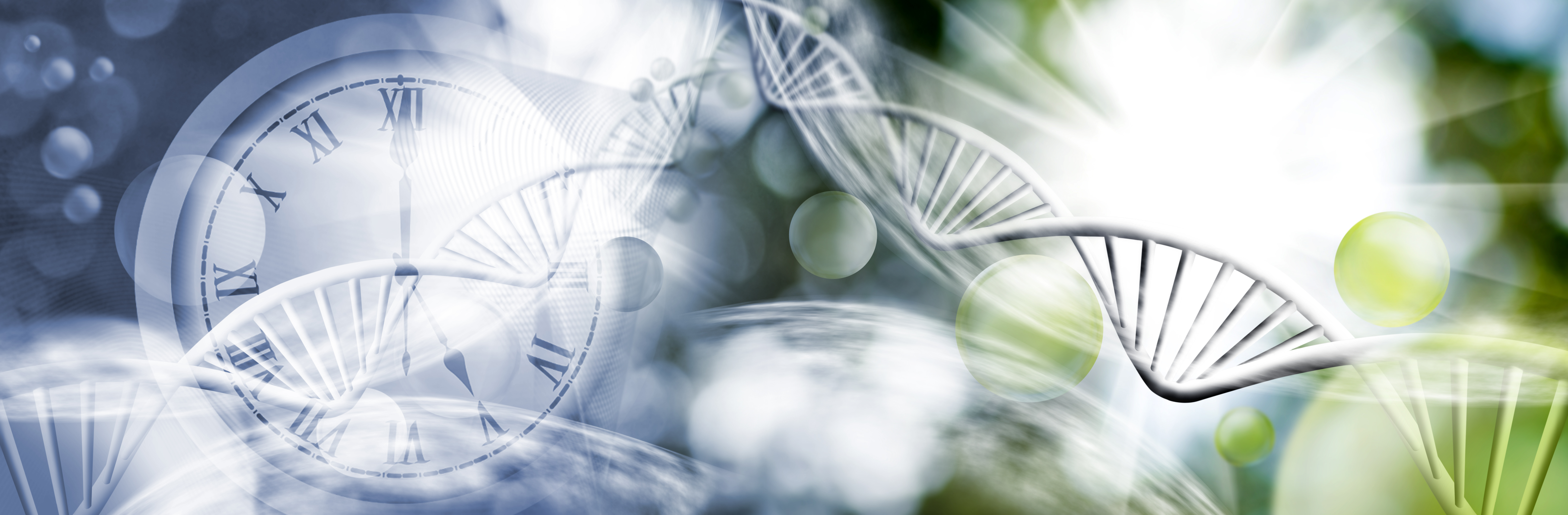 Les effets de la sélection naturelle sur le génome humain peuvent être retracés jusqu'au Paléolithique. © cooperr, Adobe Stock