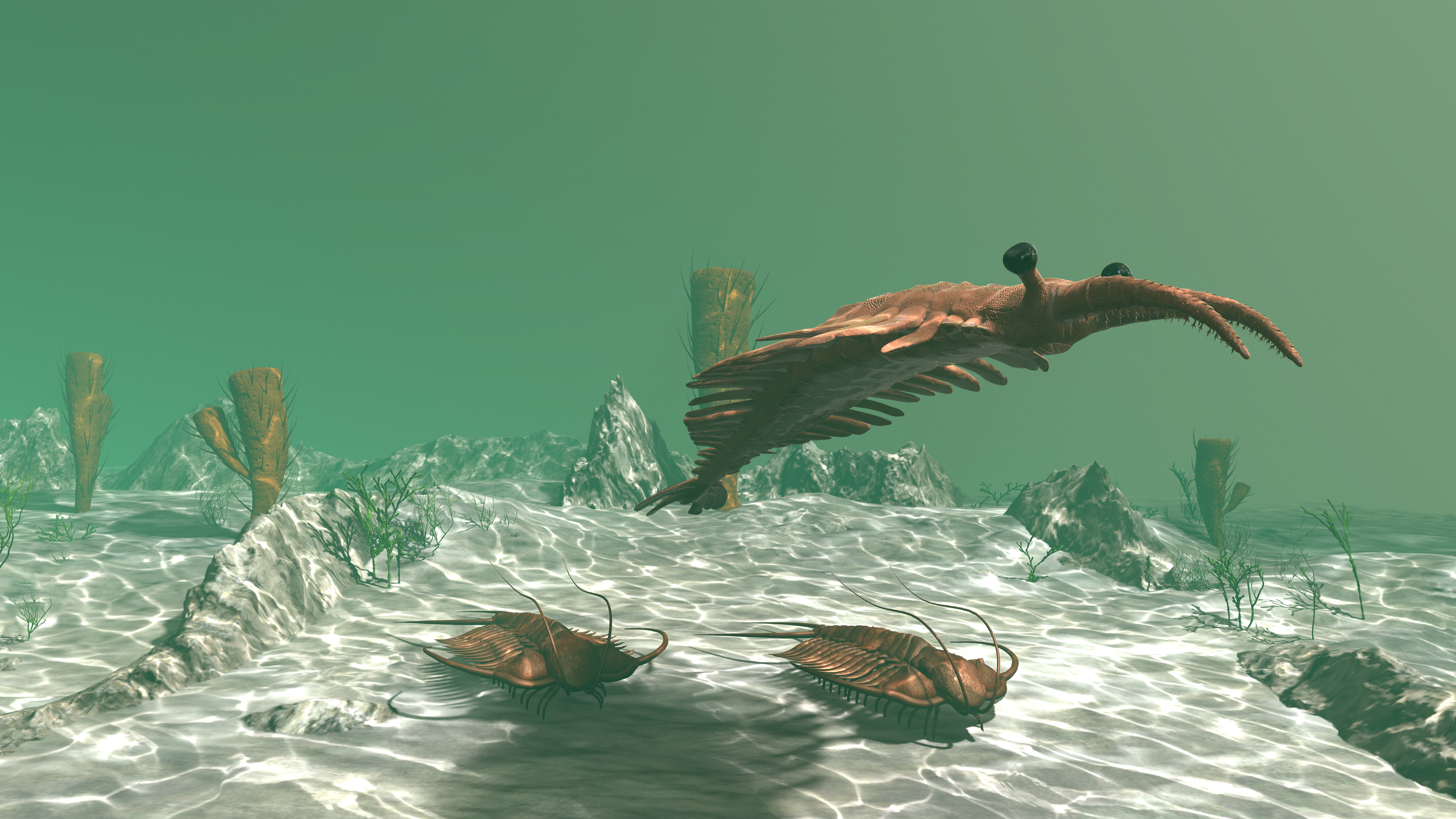 Trilobites dans les eaux de l'Ordovicien. © anibal, Adobe Stock