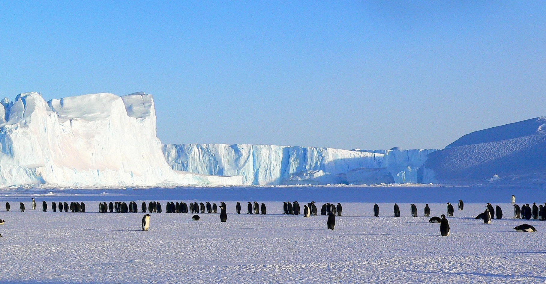 L’Antarctique méritera-t-il encore longtemps son surnom de continent blanc ? © MemoryCatcher, Pixabay, CC0 Public Domain