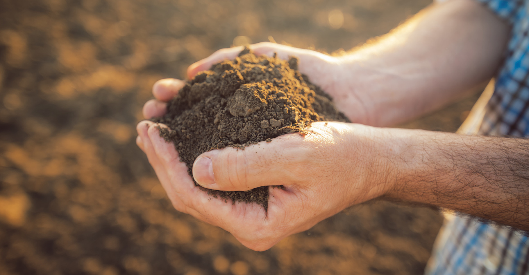 Des scientifiques ont analysé des milliers d’échantillons de terre afin d’en apprendre un peu plus sur les microbiomes des sols. © Bits and Splits, Fotolia