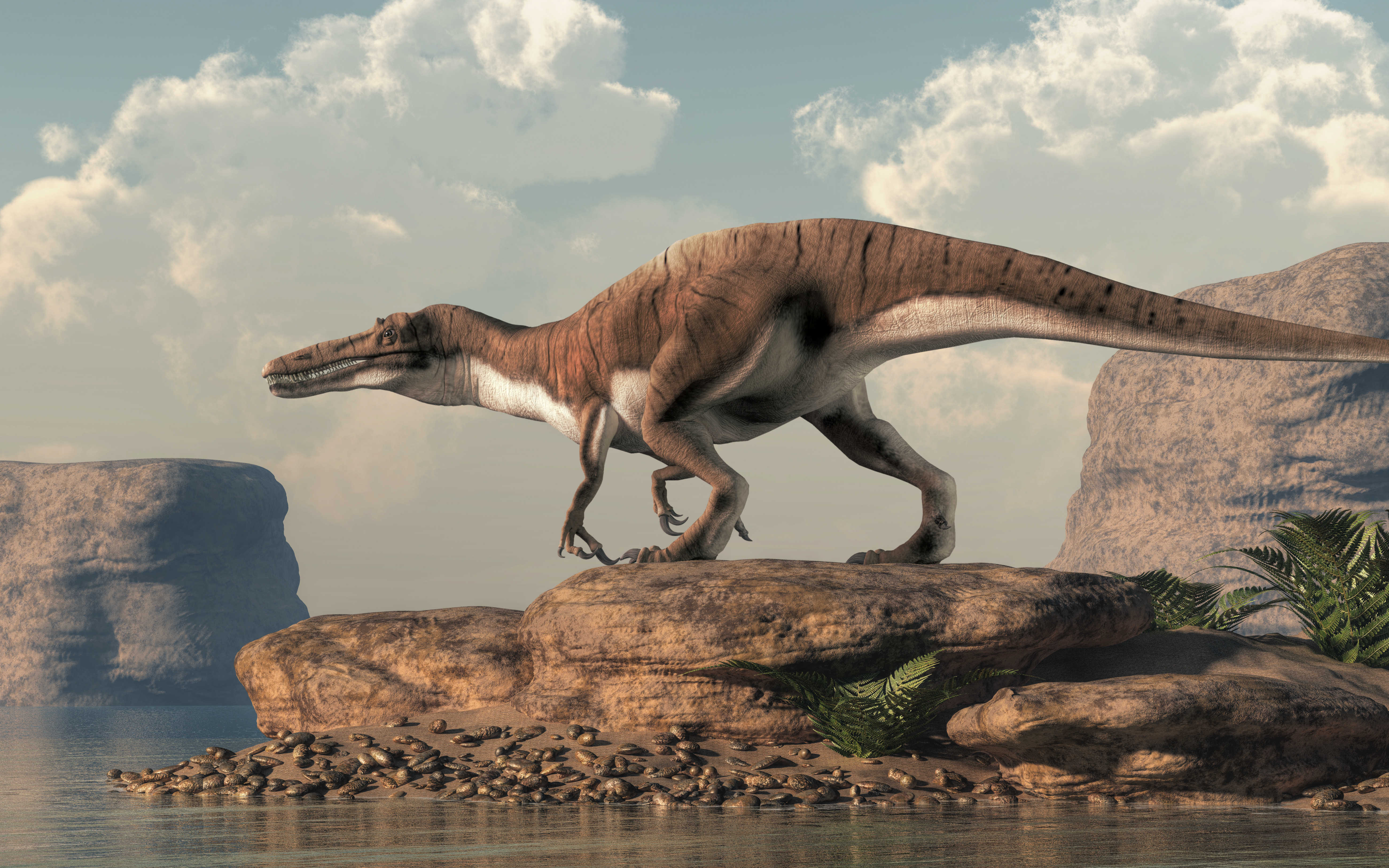 Parmi les spinosauridés, Baryonyx avait une voile dorsale réduite. © Daniel, Adobe Stock