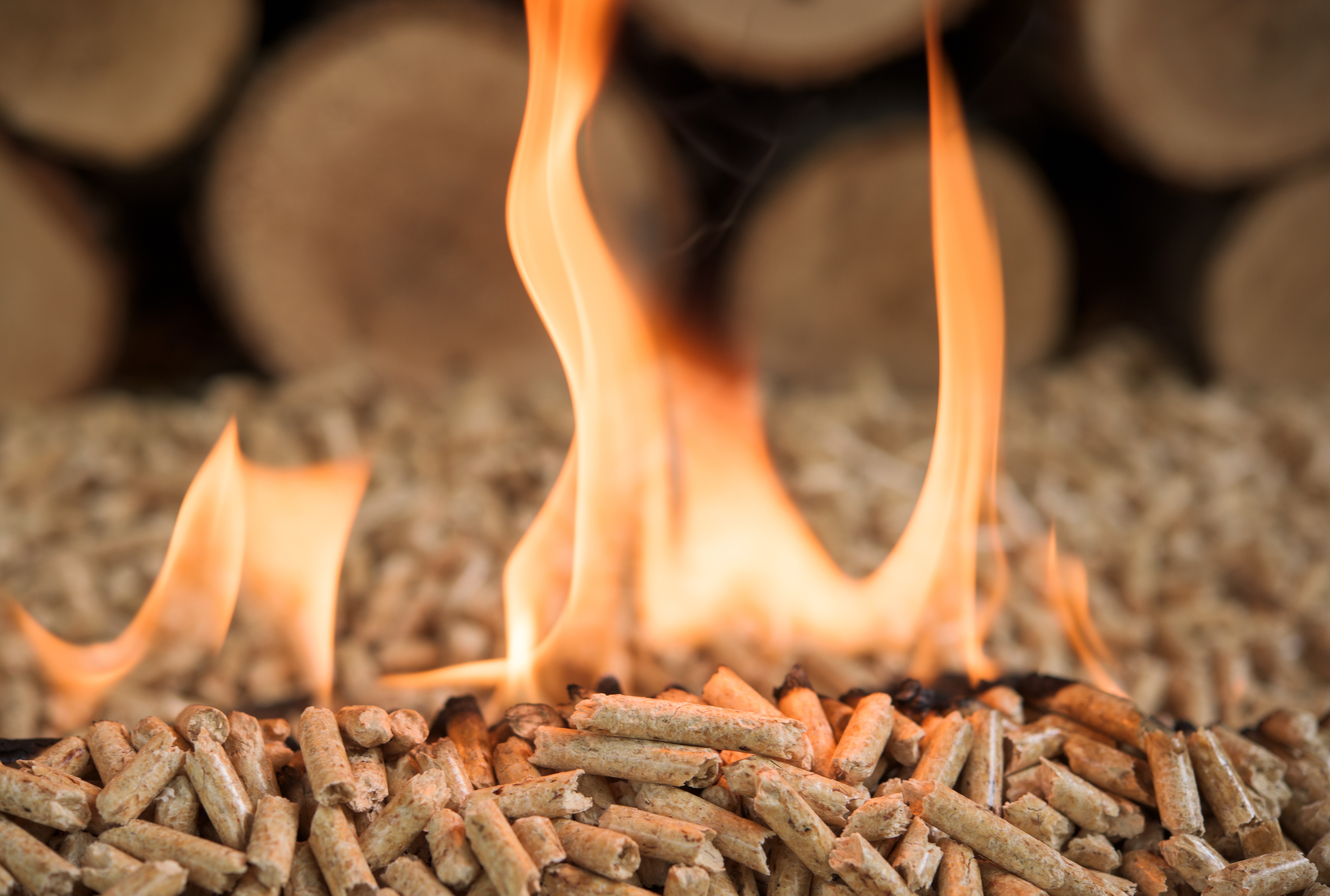 Le feu, première source d’énergie de l’humanité, est aussi une énergie renouvelable issue de la biomasse. ©&nbsp;tchara, Adobe Stock