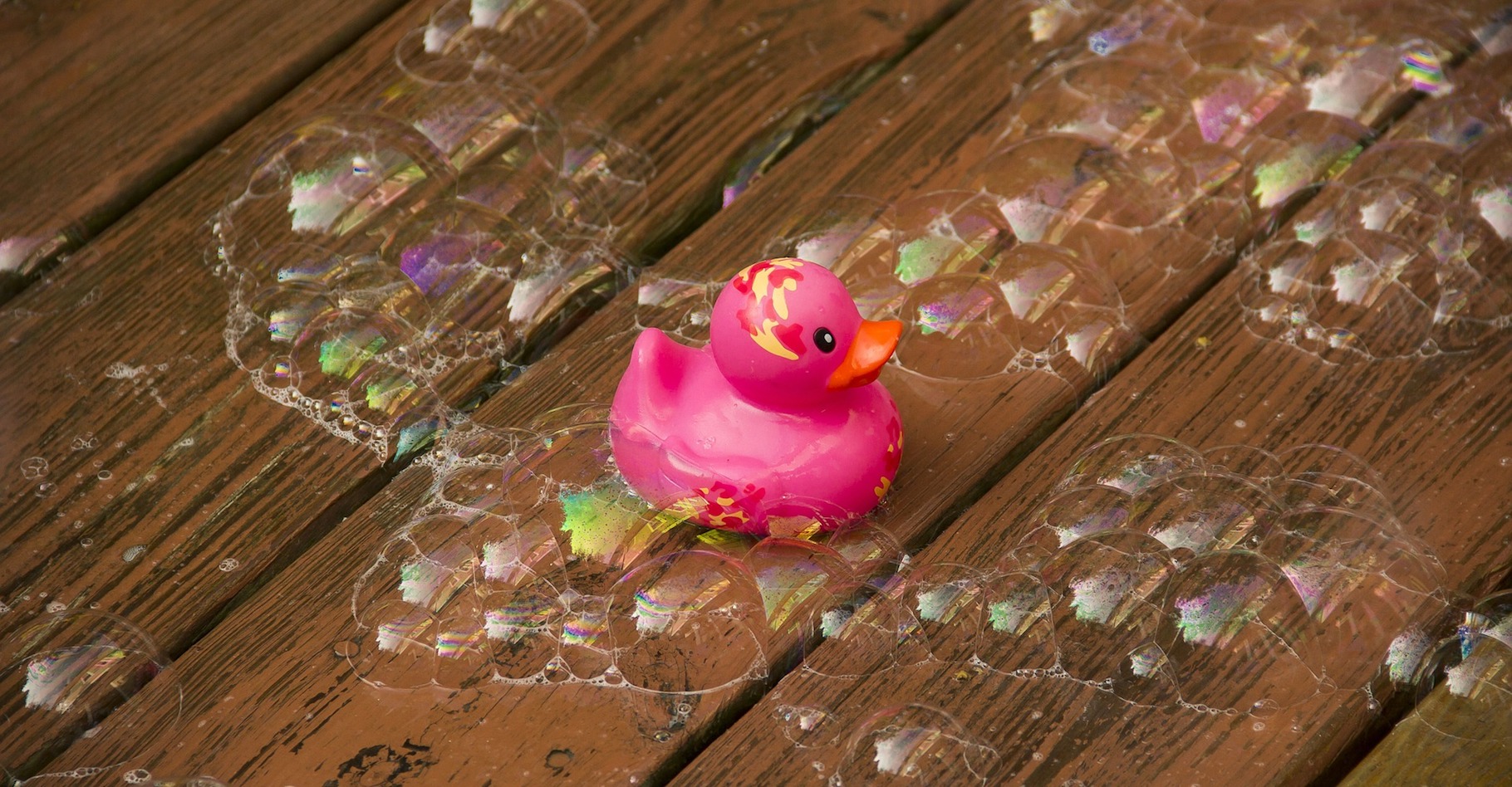 Ils sont tellement mignons quand ils barbotent dans l’eau du bain de nos petits… Pourtant, les canards en plastique ont la fâcheuse tendance à héberger champignons et bactéries en tout genre. © DVOC, Pixabay, CC0 Creative Commons