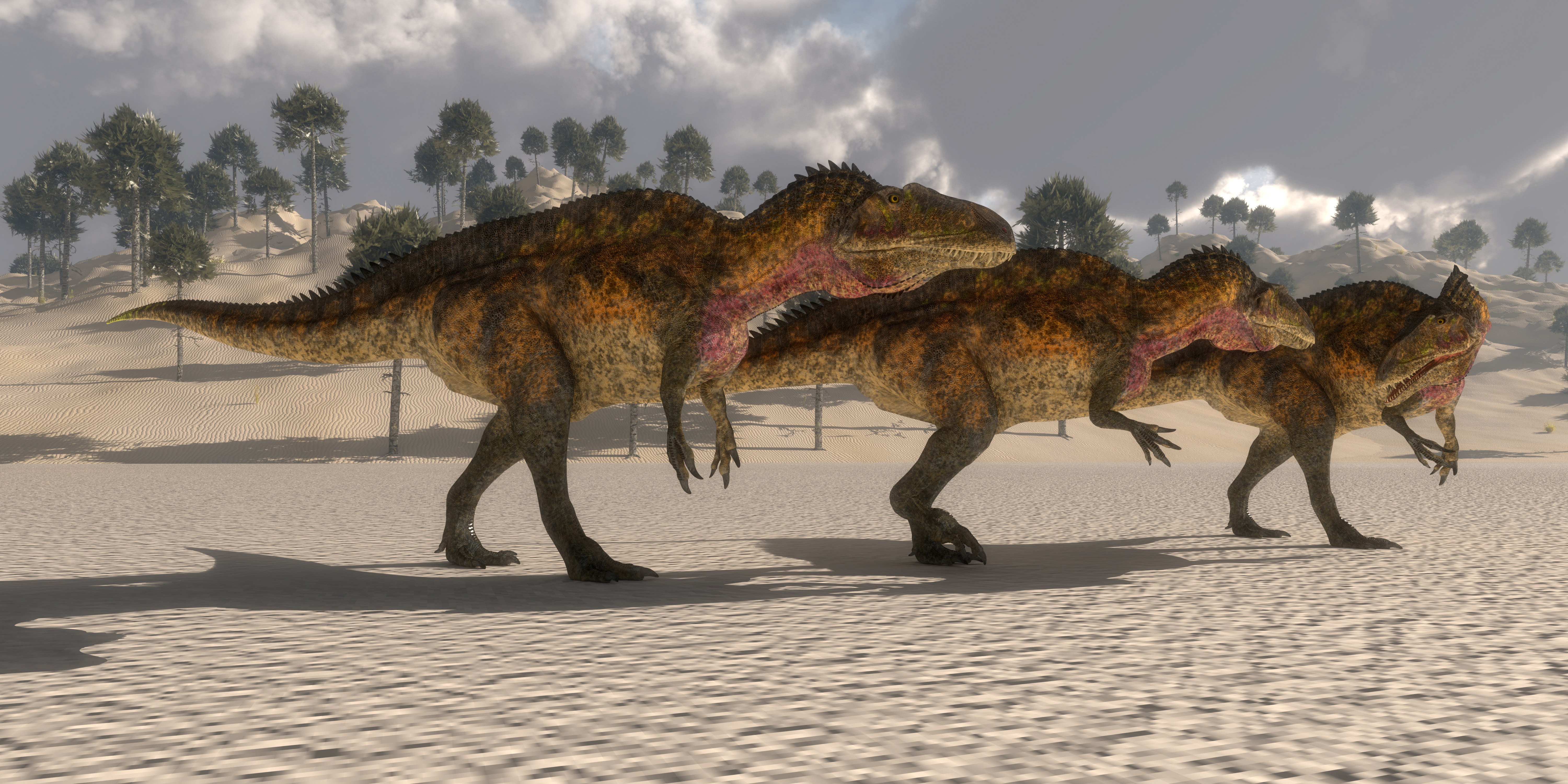 Certaines espèces de carcharodontosaures (ici selon une vue d'artiste) rivalisaient en taille avec des tyrannosauridés et des spinosauridés. © Catmando, Adobe Stock