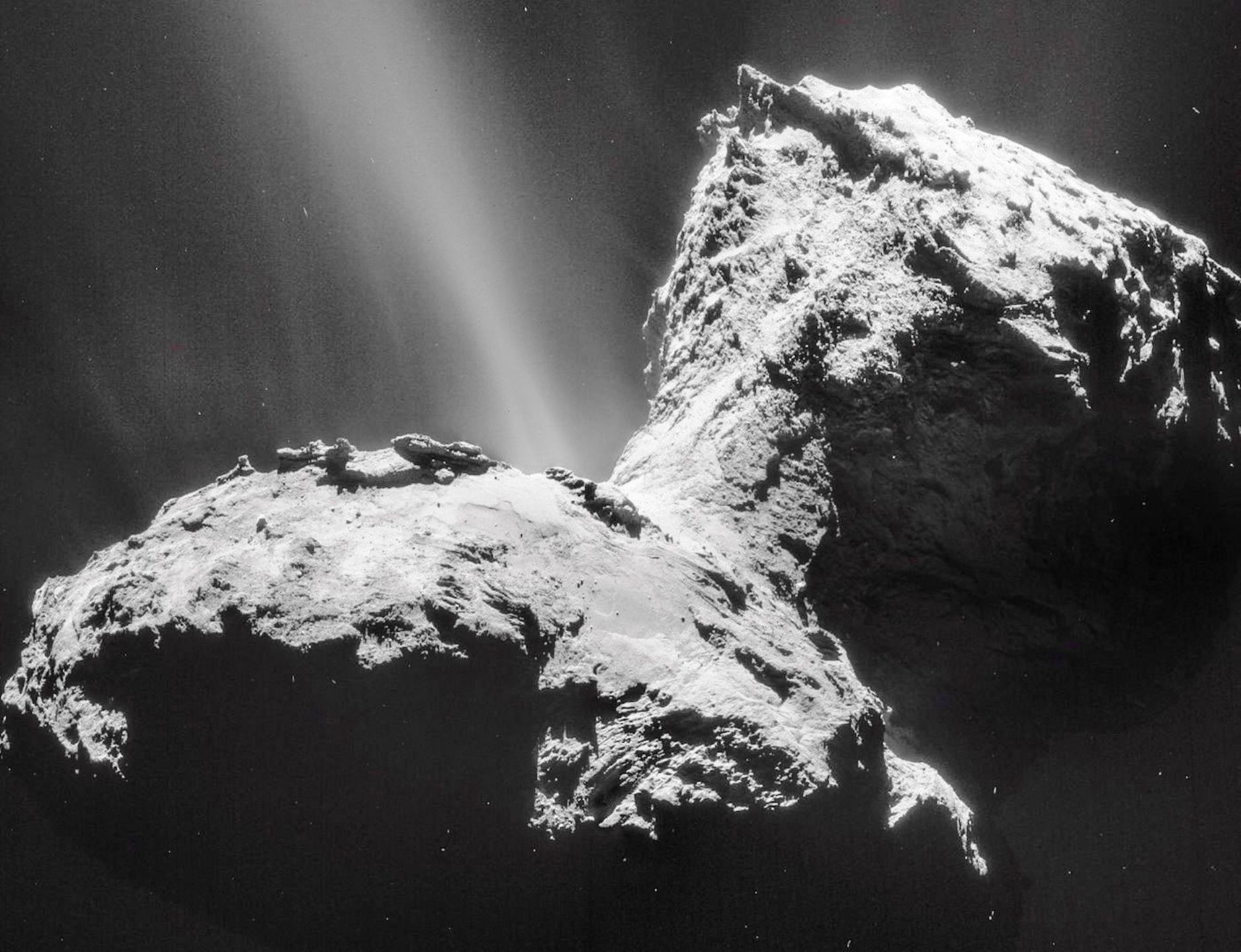 Tchouri photographiée avec la NavCam de Rosetta le 31 janvier 2015 (mosaïque de 4 images). Depuis de longs mois, l’activité la plus forte est observée dans la région du cou. © Esa, Rosetta, NavCam – CC BY-SA IGO 3.0