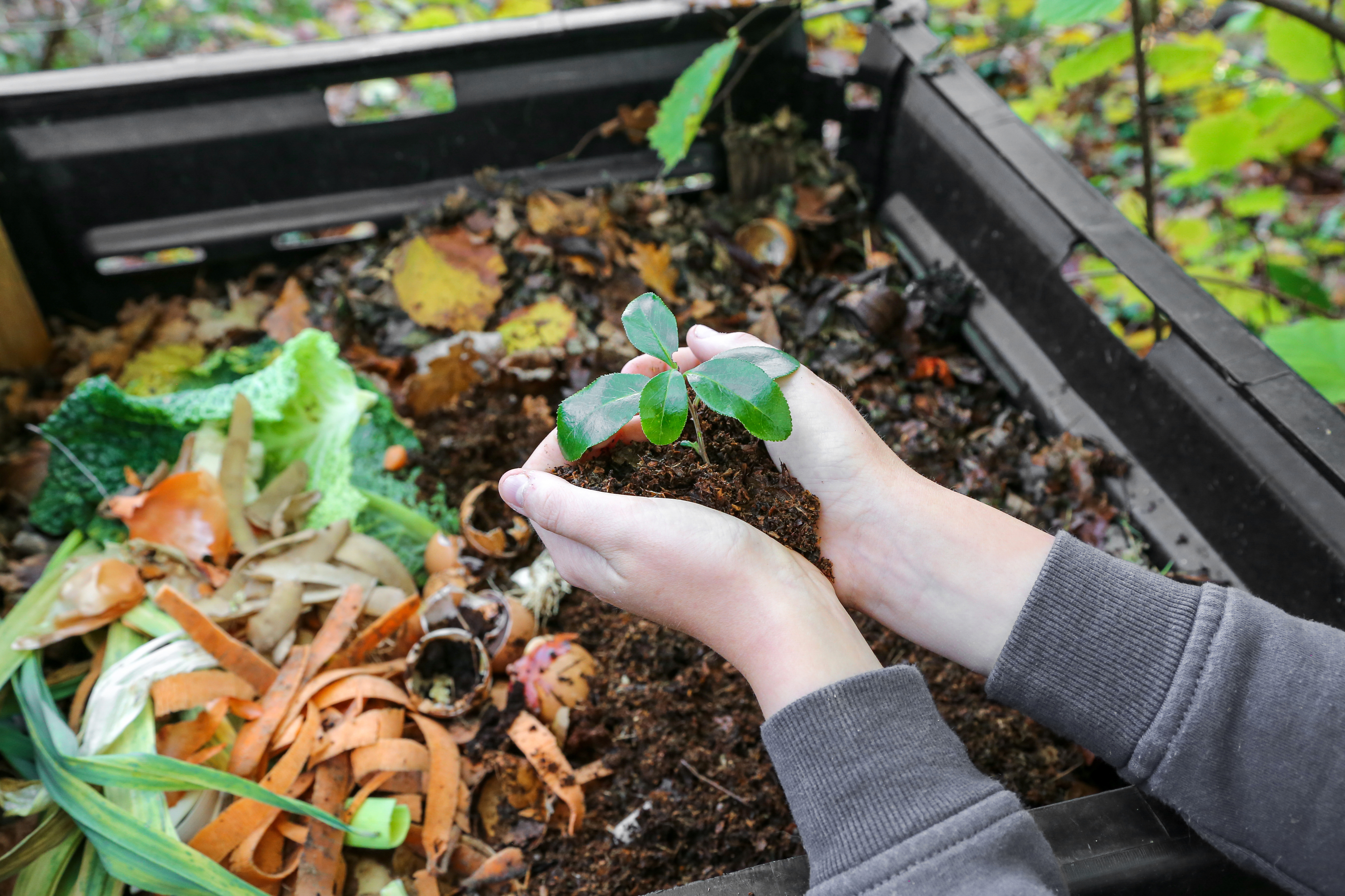 En 2024, l'acquisition d'un composteur de déchets est devenu indispensable pour les jardins © Jérome Rômmé, Adobe Stock