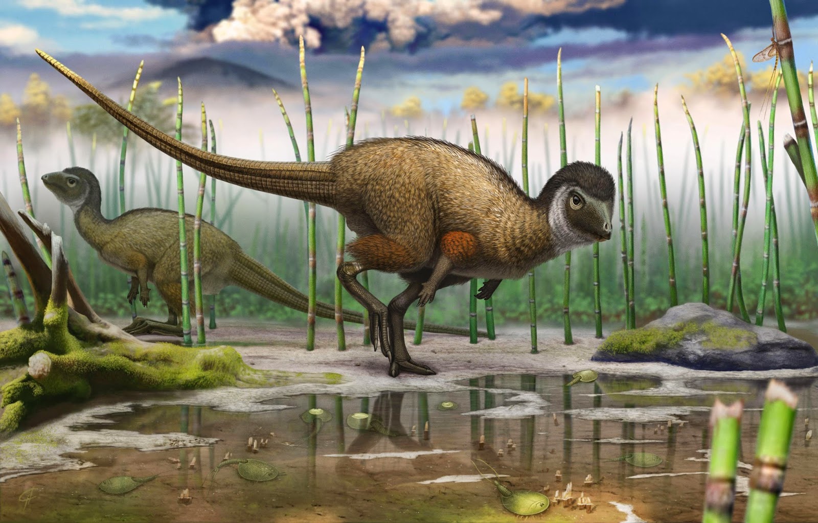 Décrit dans un article qui vient de paraître dans Science, Kulindadromeus zabaikalicus est le nouveau dinosaure exhumé à Kulinda, un site bordant la rivière Olov en Sibérie. © Institut royal des Sciences naturelles de Belgique, Andrey Atuchin
