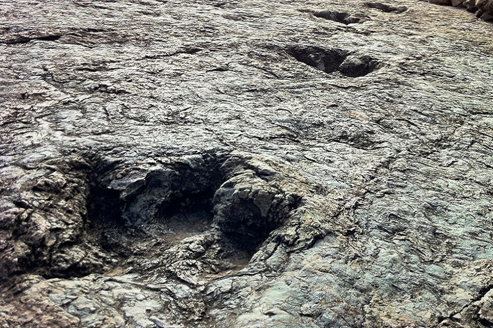 Les empreintes de dinosaures datant du Crétacé supérieur sont très communes près de la capitale administrative de la Bolivie, Sucre. Celles montrées sur cette photo proviennent du site de Niñu Mayu, voisin de celui où vient d'être trouvée une empreinte de pas d'un abélisaure. © www.sucrelife.com
