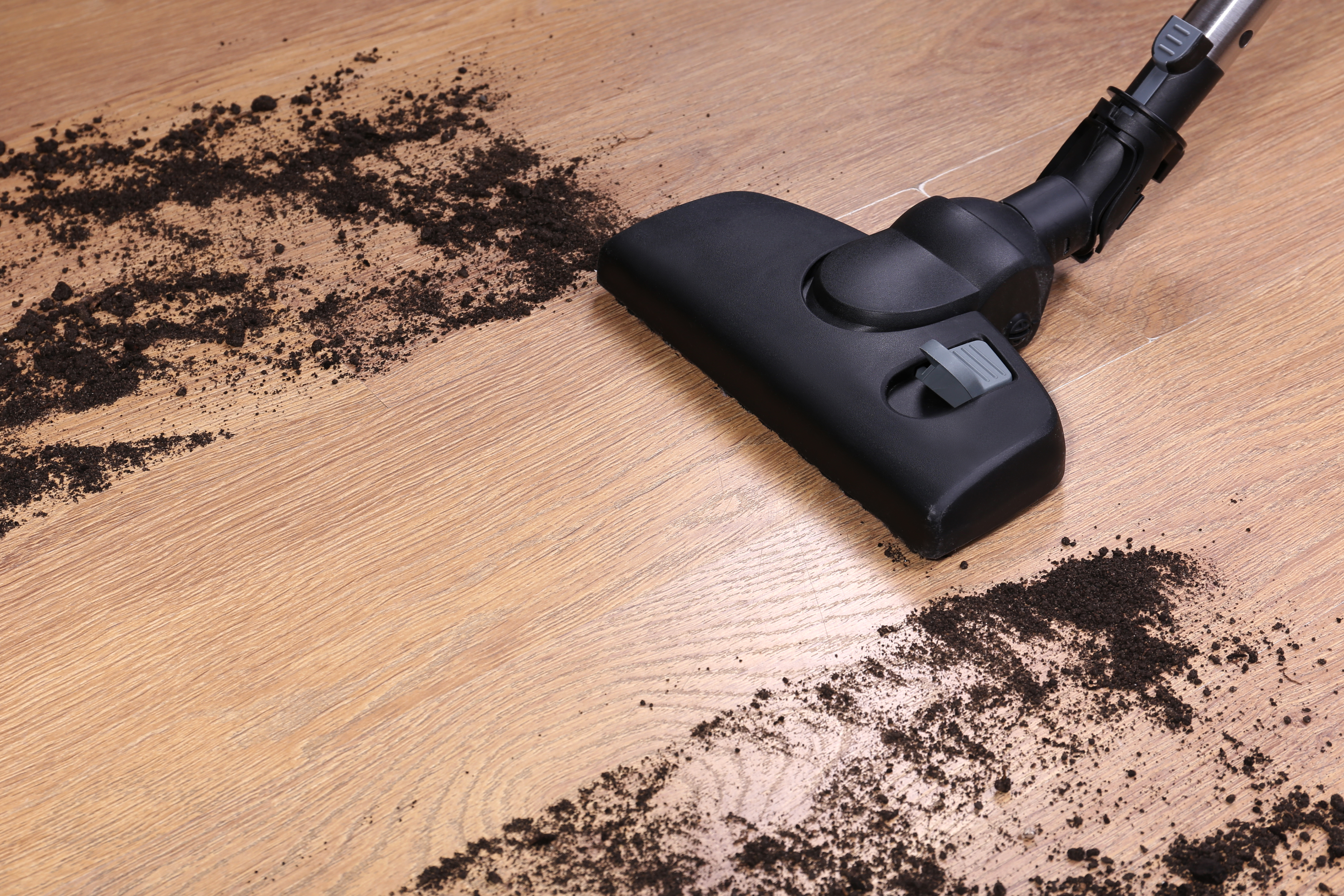 Un entretien régulier de votre aspirateur permet d’éviter les pannes et de prolonger sa durée de vie. © Africa Studio, Adobe Stock