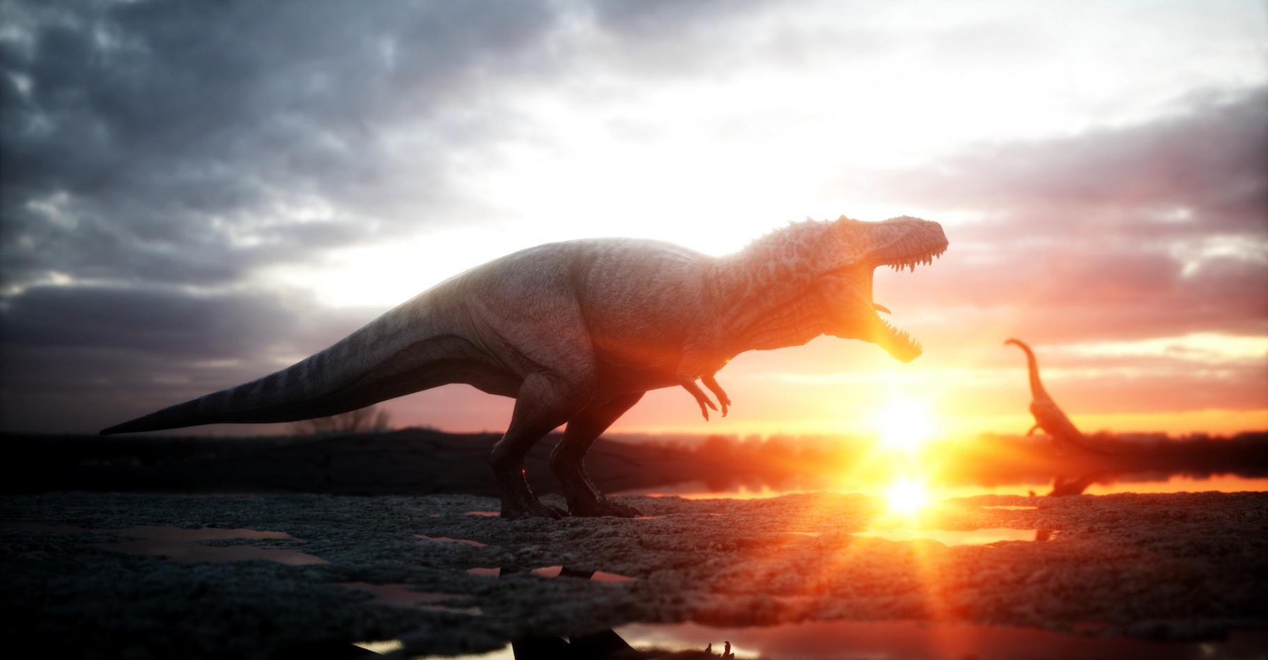 Selon une étude de l’université de Tel Aviv (Israël) et de l’University College London (Royaume-Uni), les mammifères ont commencé à apparaître au grand jour à la fin du Crétacé, il y a quelque 66 millions d’années, à la faveur de la disparition des dinosaures. © chagpg, Fotolia