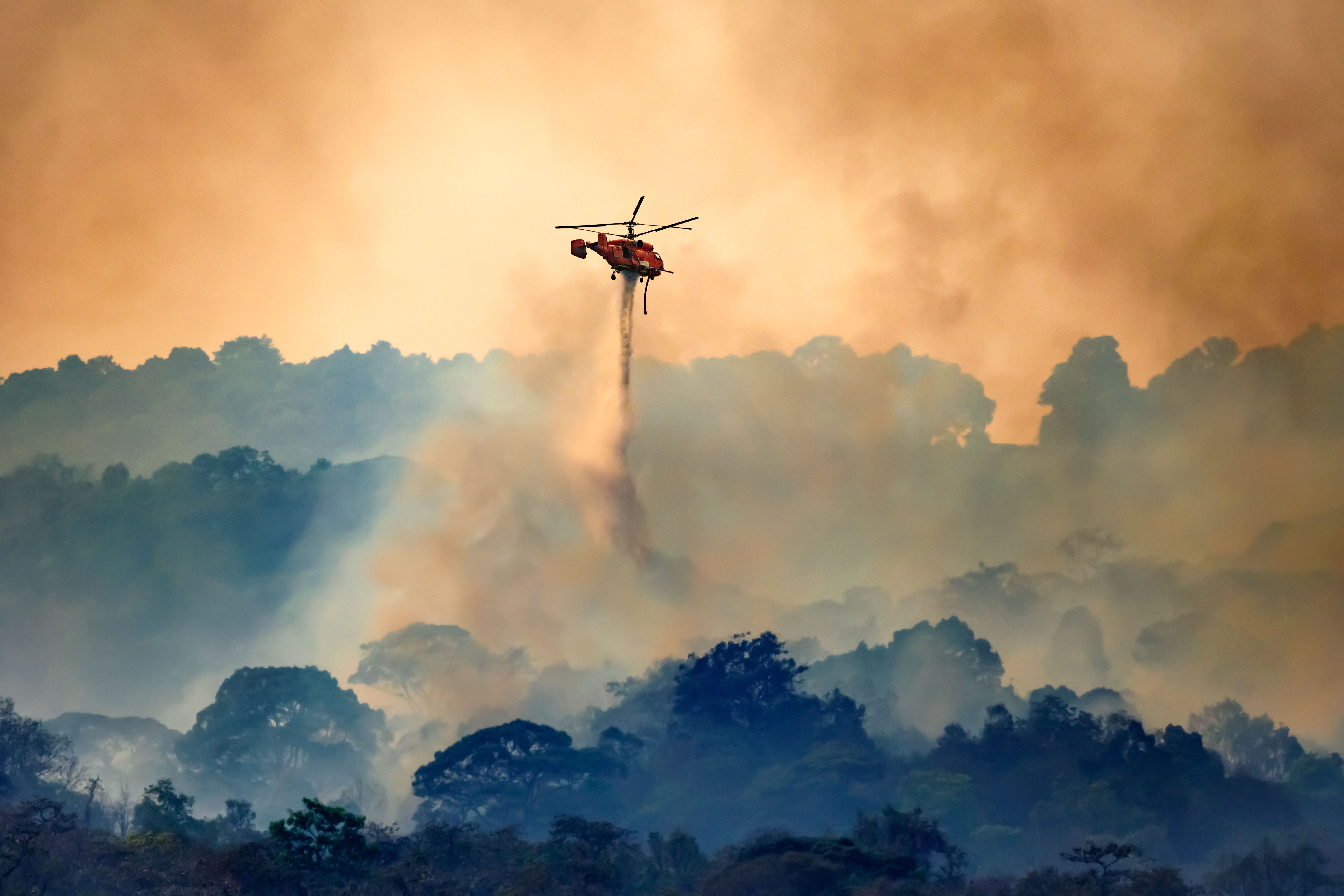 Le feu de forêt du Var est combattu sur tous les fronts, notamment du ciel, où les avions et les hélicoptères bombardent de l'eau dans un ballet continu. © toa555, Adobe Stock