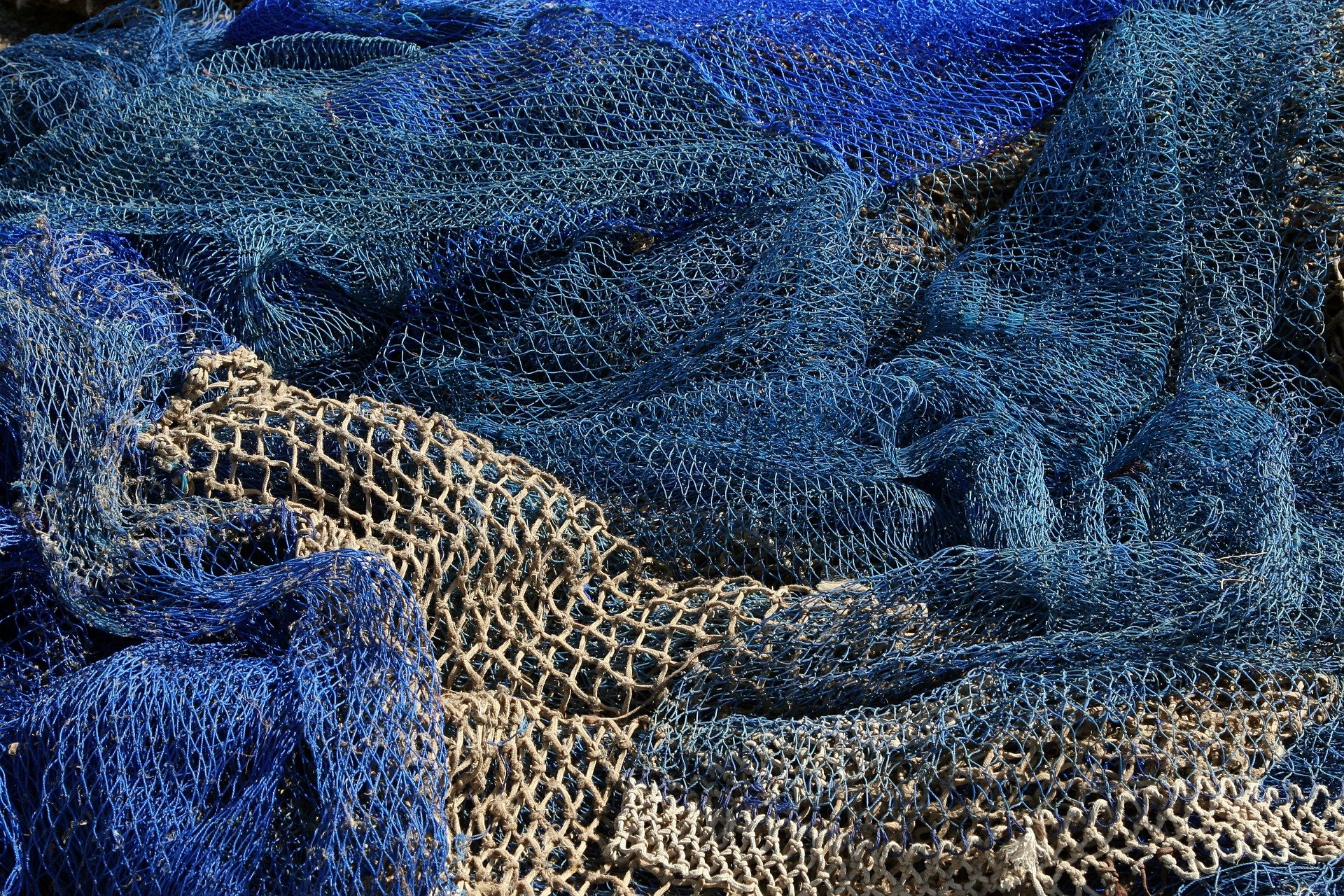 Plus de 600.000 tonnes de filets de pèche ne sont pas remontés par les bateaux, et ils emprisonnent des phoques, des tortues et des millions de poissons. © Kees Kortmulder, Pixabay