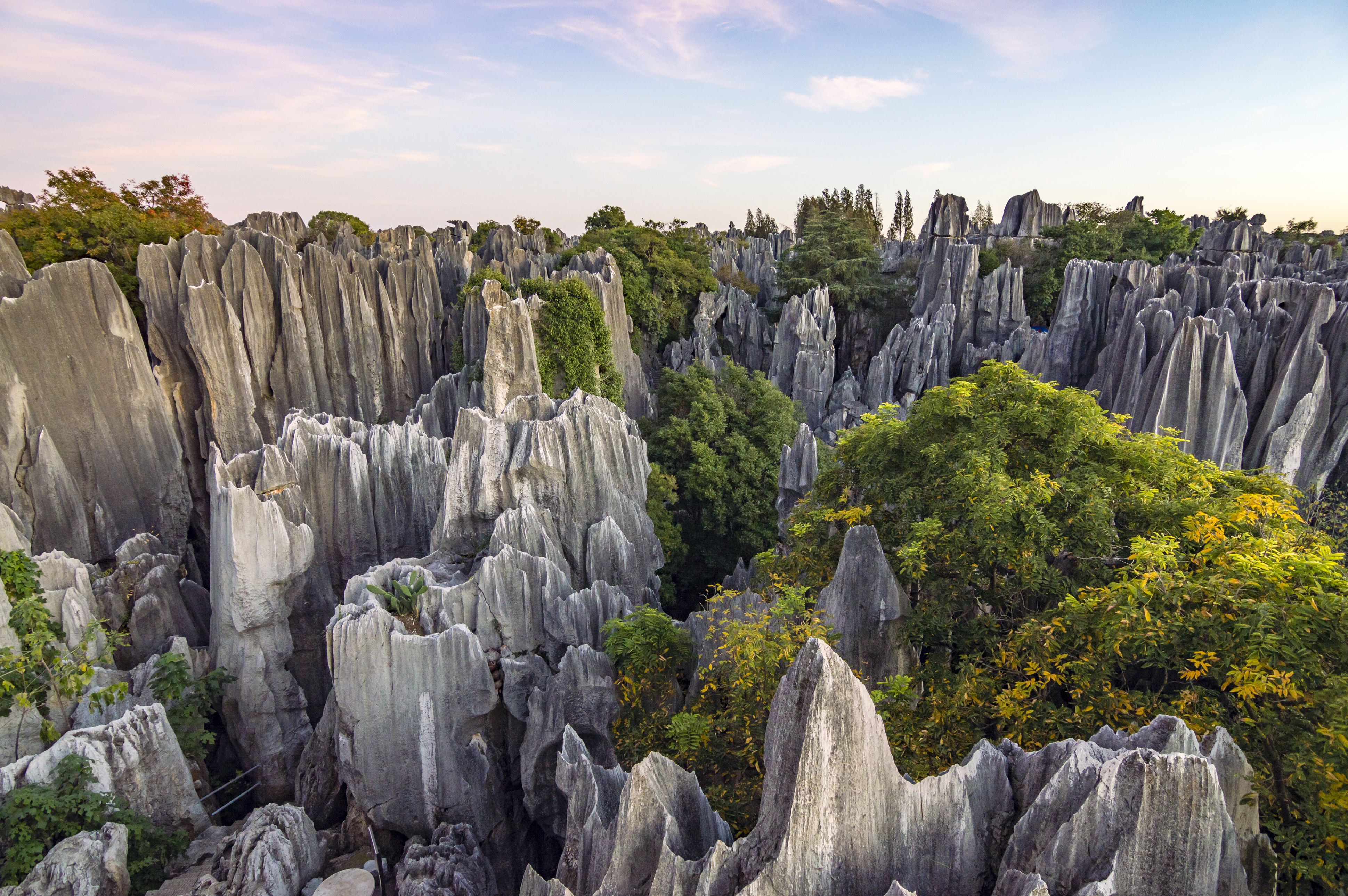 Le forêt de pierres de Shilin, dans la province du Yunnan (Chine). © Andrii_lutsyk, Adobe Stock