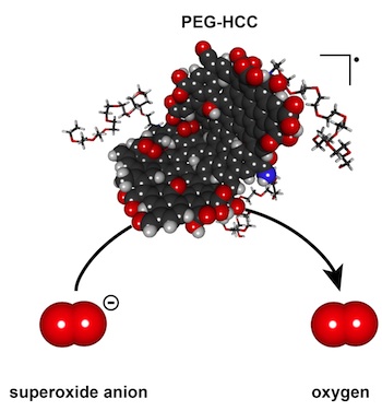 La nanoparticule PEG-HCC limite la surexpression de superoxydes en catalysant une réaction de transformation de ces radicaux libres. © Errol Samuel, Rice University