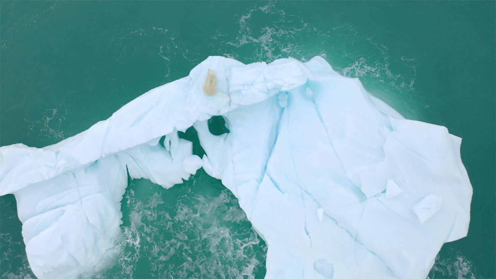 Un ours polaire se repose sur un iceberg. © Florian Ledoux