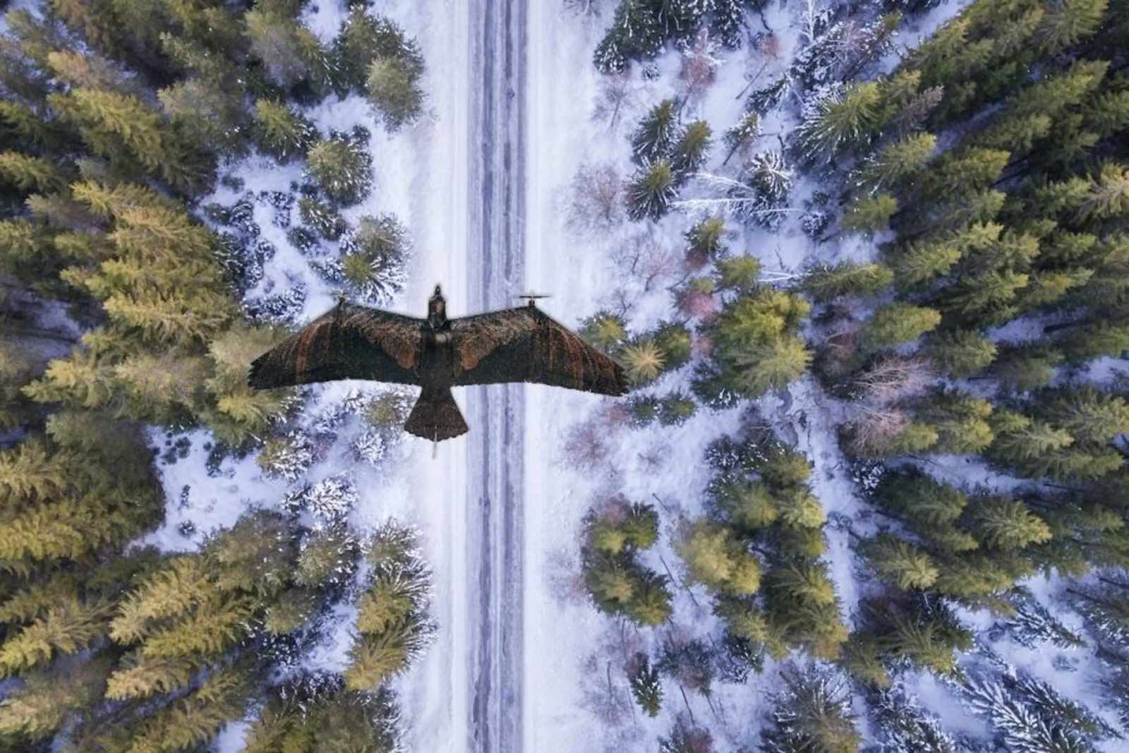 Le drone prend l’aspect d’un aigle pour plus de discrétion et de furtivité. © Guard From Above