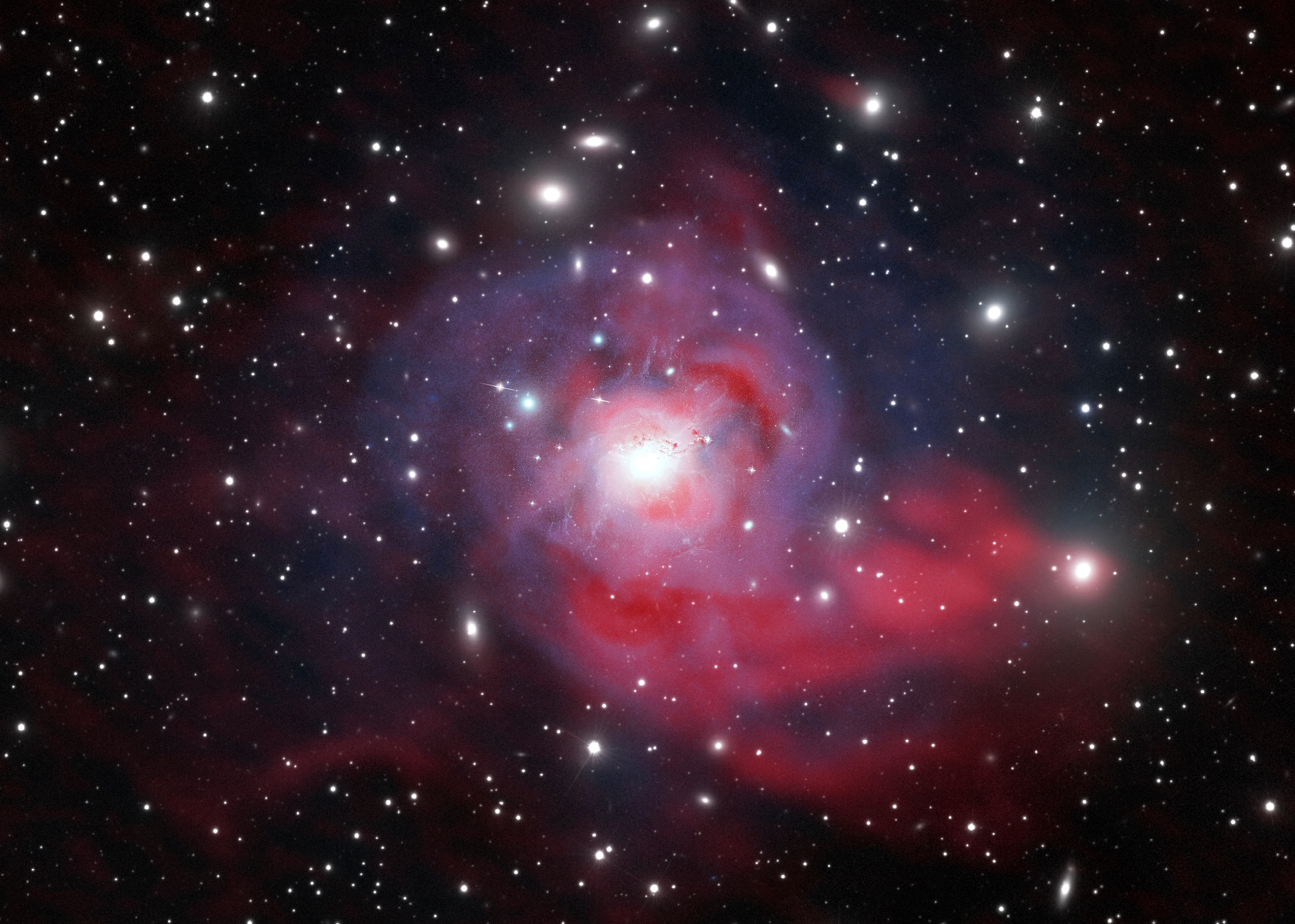 Cette image de NGC 1275 est une composition réunissant des données captées en lumière visible « Hubble », en rayon X « Chandra » et en onde radio « VLA (NRAO) ». © Marie-Lou Gendron-Marsolais (université de Montréal), Julie Hlavacek-Larrondo (université de Montréal), Maxime Pivin Lapointe, CC by-sa 4.0