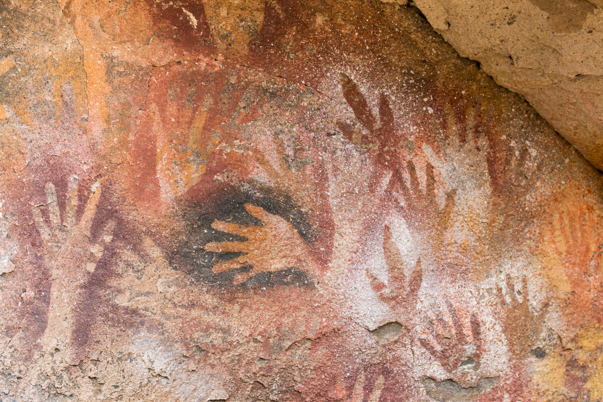 La technique du pochoir a été largement utilisé par Homo sapiens pour orner les grottes d'Europe. Mais elle pourrait en réalité avoir été inventée par Néandertal. © Sabine, Adobe Stock