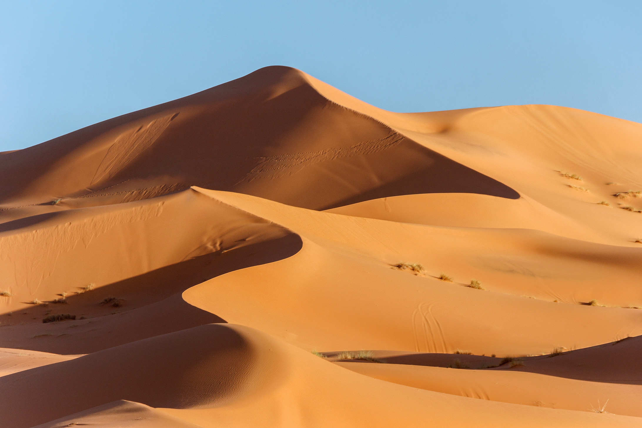 Tous les 21 000 ans, le Sahara connaît une période humide qui entraîne son verdissage. © Cceliaphoto, Adobe Stock