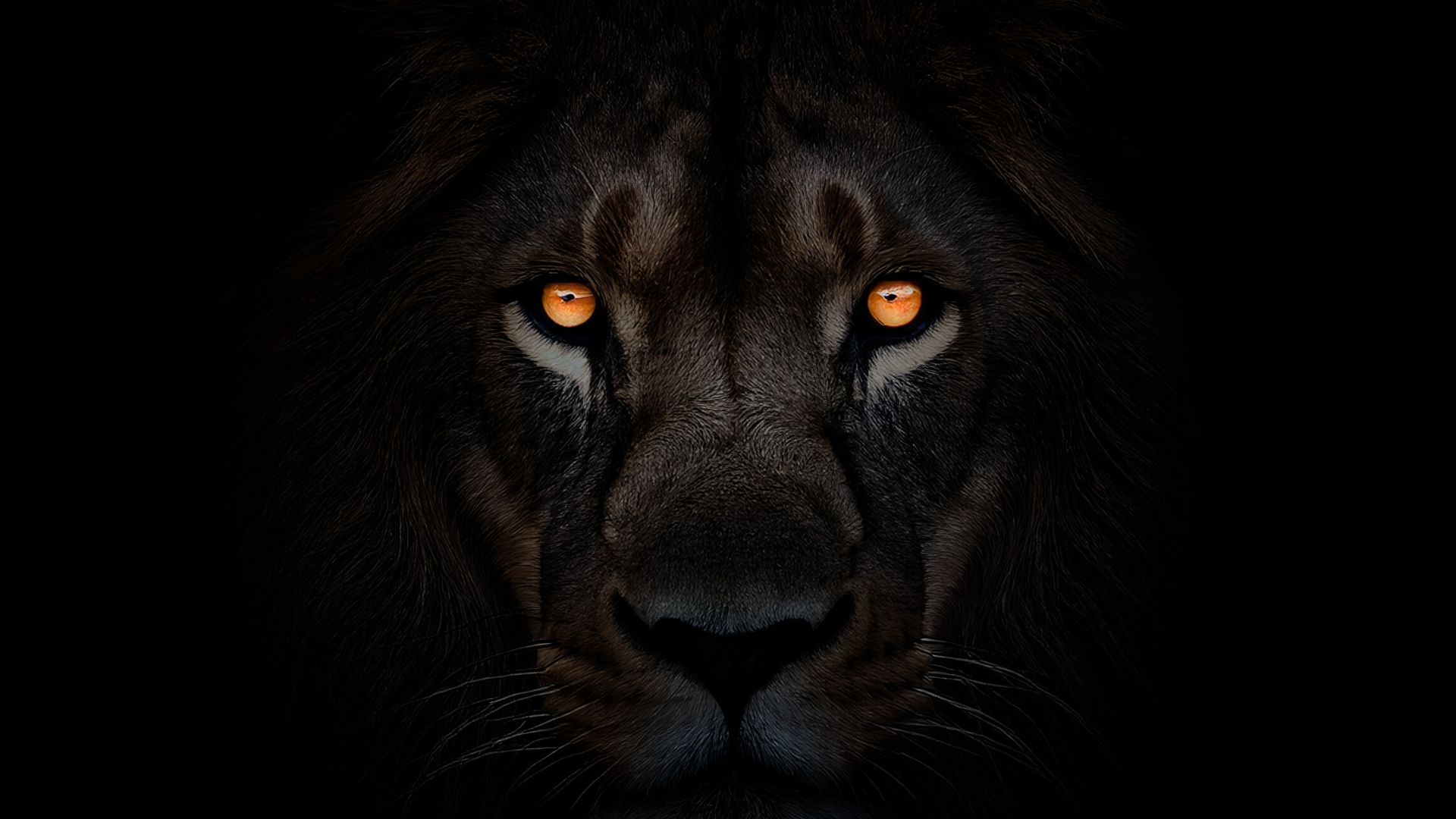 Un comportement agressif envers l'animal pourrait l'inciter à attaquer, selon les autorités forestières de la région. © AI avec Adobe Firefly