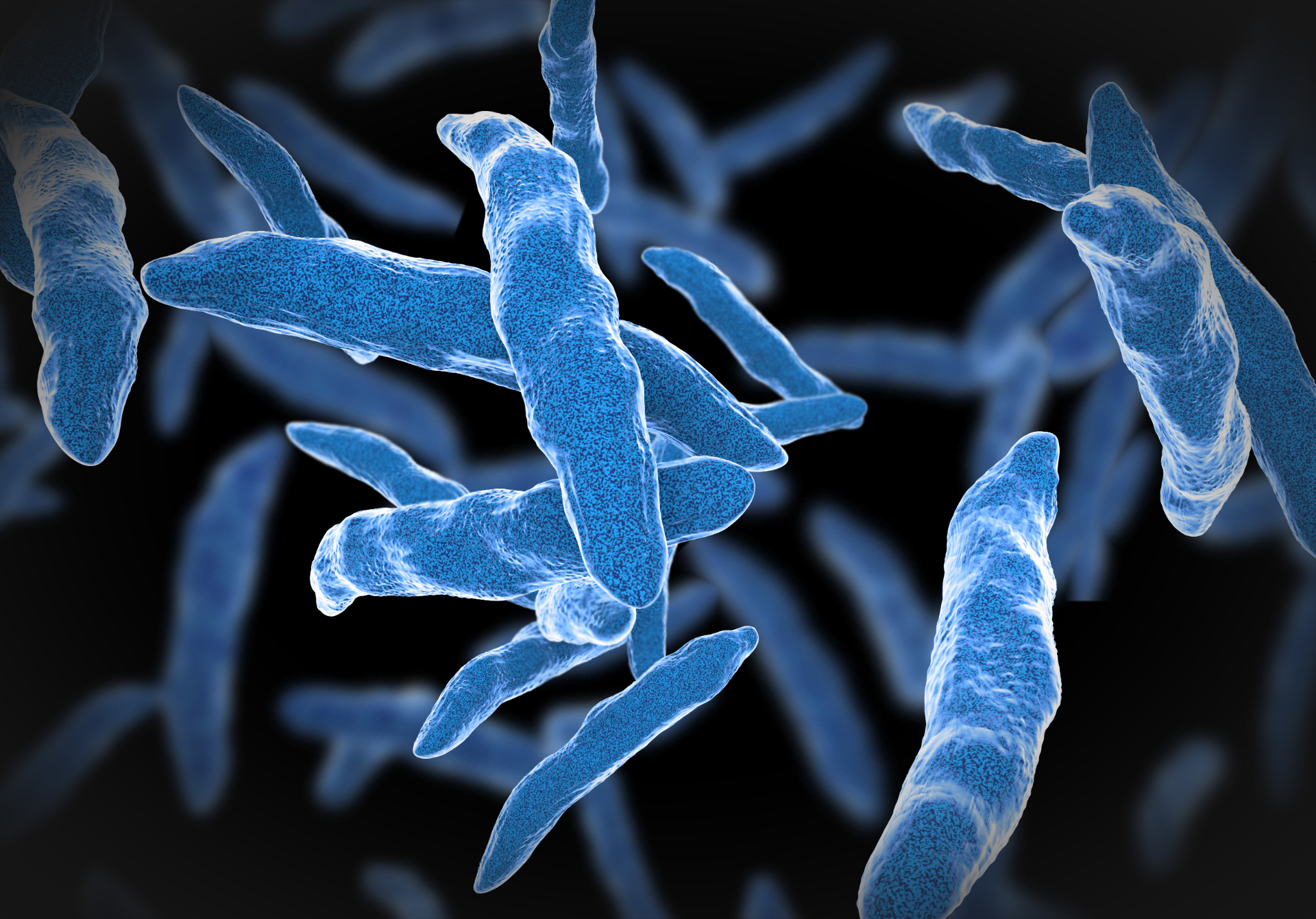 Illustration en 3D de Mycobacterium tuberculosis. © Giovanni Cancemi, Adobe Stock