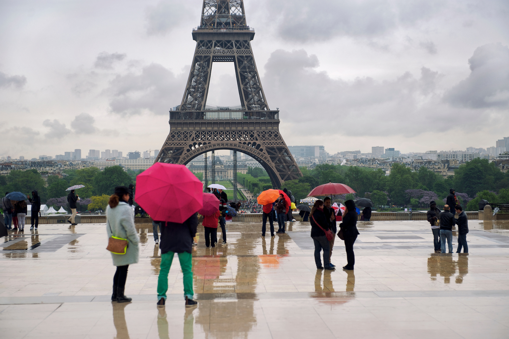 2024 sera, soit la première année la plus pluvieuse enregistrée depuis 1873, soit la deuxième, juste après l'année 2000. © lazyllama, Adobe Stock