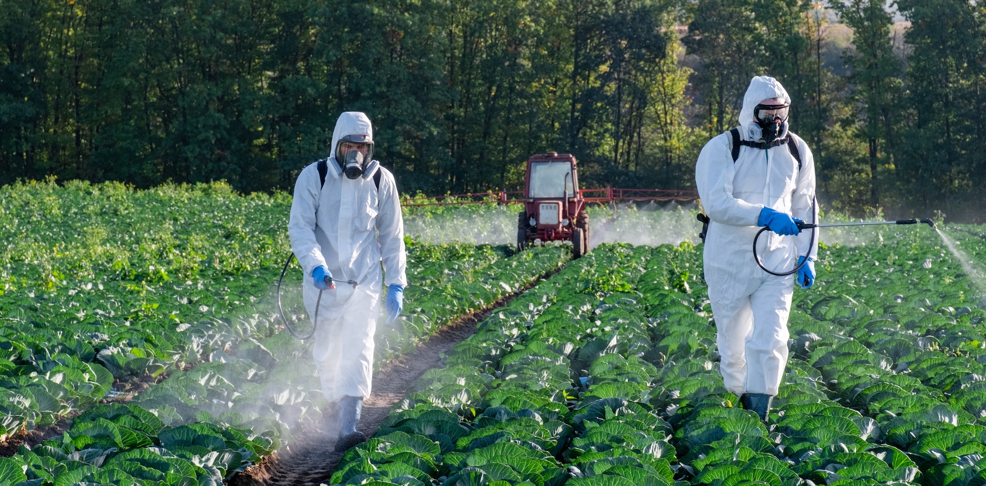 L'usage des pesticides explose en France depuis 10 ans. © NataliAlba, Adobe Stock