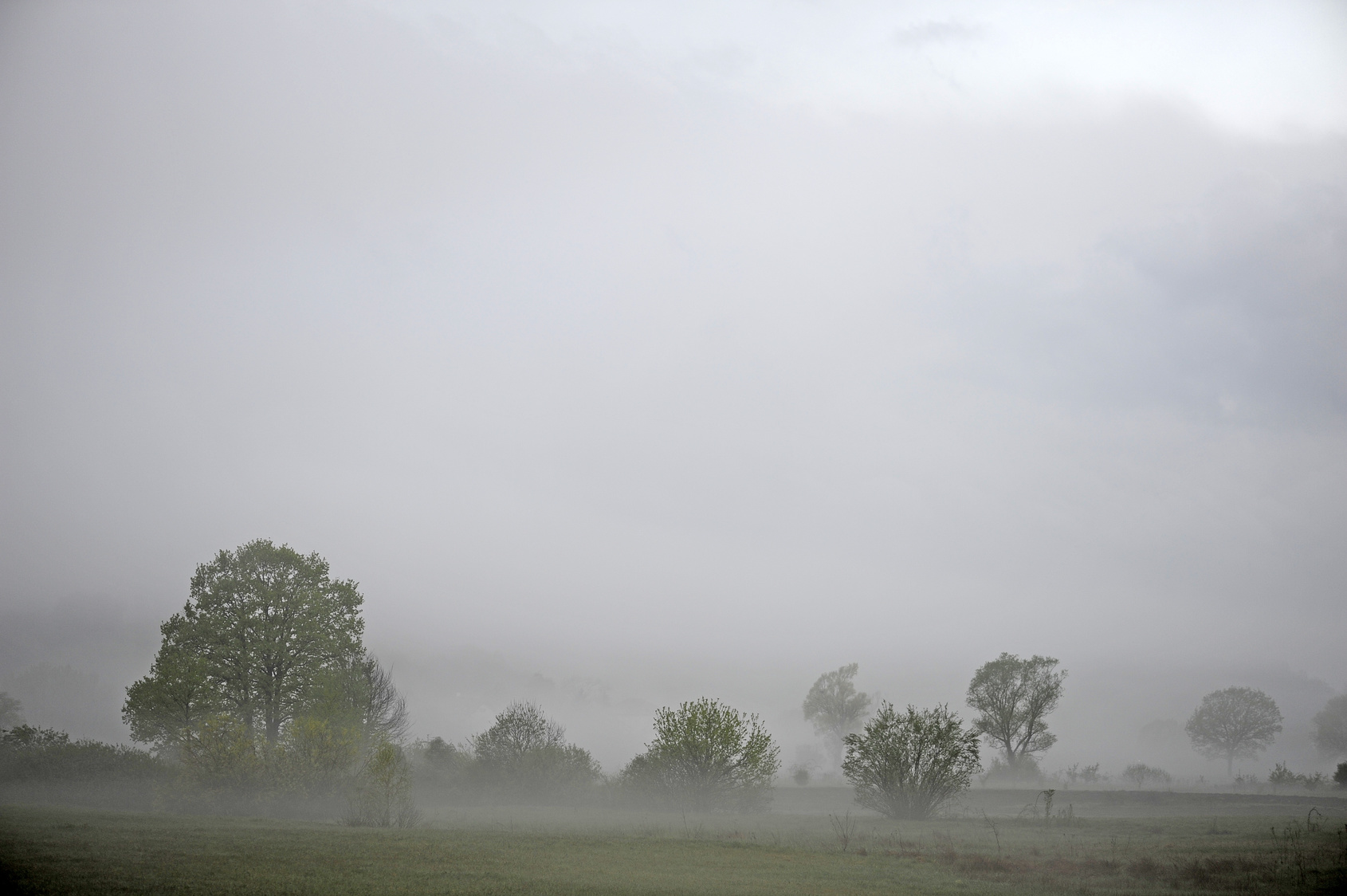 Le stratus est un nuage bas, gris-blanc, chargé de gouttelettes. © bennytrapp, Fotolia
