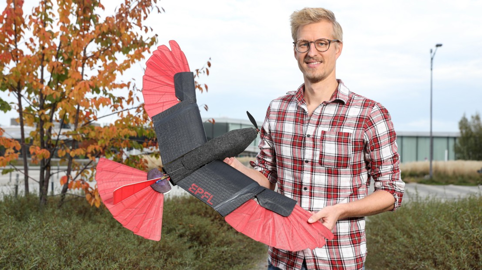 L'autour des palombes est un rapace à la fois habile&nbsp;en voltige et en vol plané. Les chercheurs de l'EPFL en Suisse ont étudié ses caractéristiques pour créer un drone. ©&nbsp;EPFL