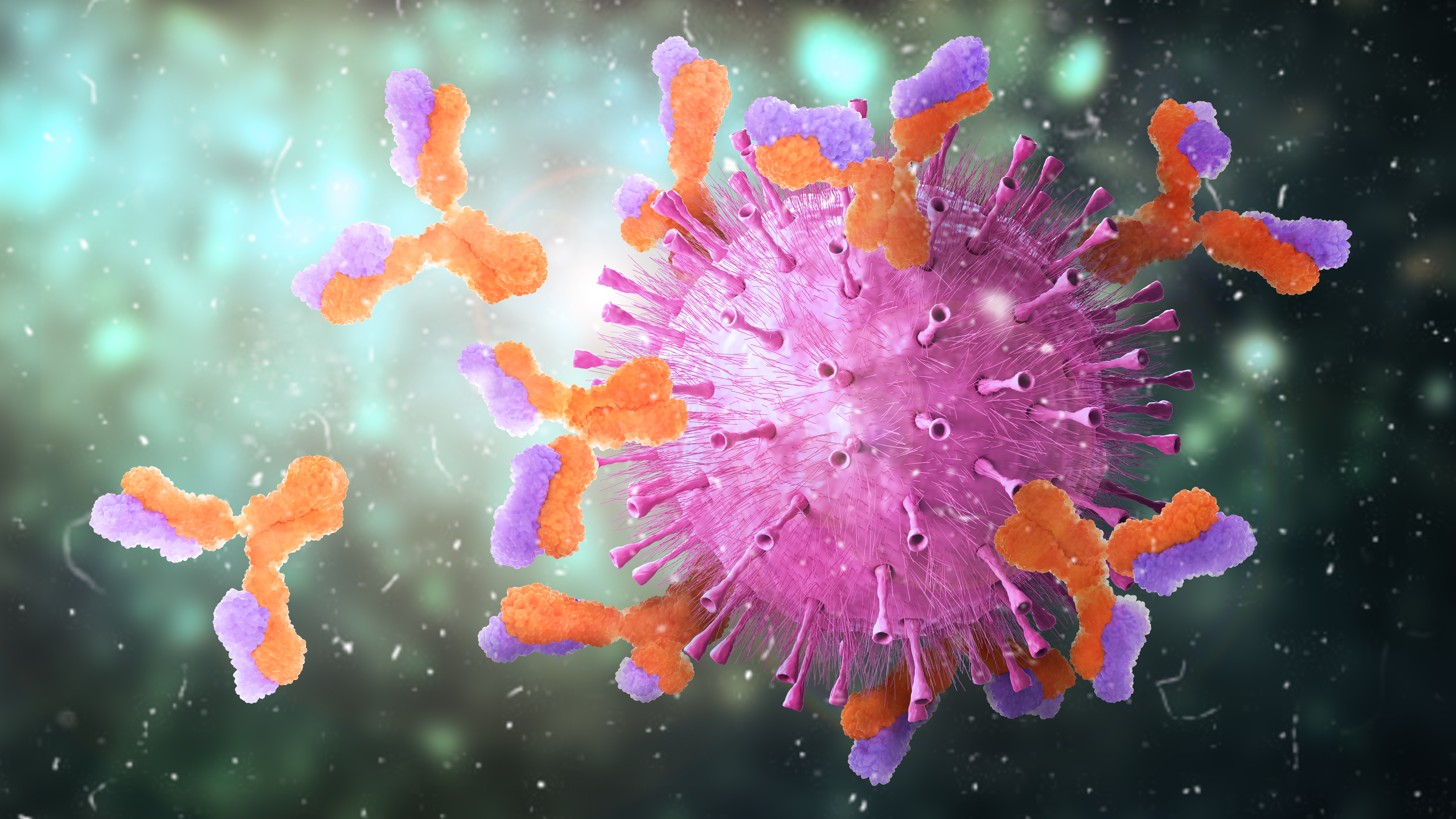 Les anticorps dirigés contre le SARS-CoV-2 témoignent d'une infection passée. © vipman4, Adobe Stock