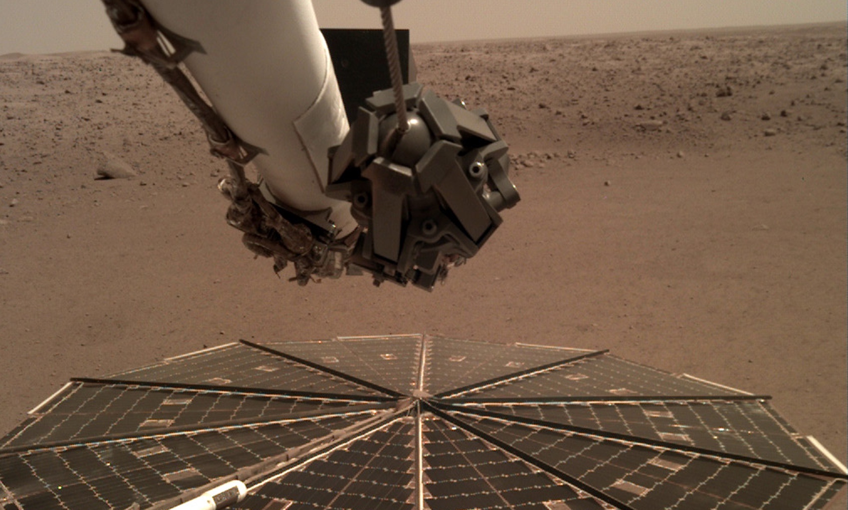 InSight sur son site d'atterrissage sur Mars. © Nasa, JPL-Caltech