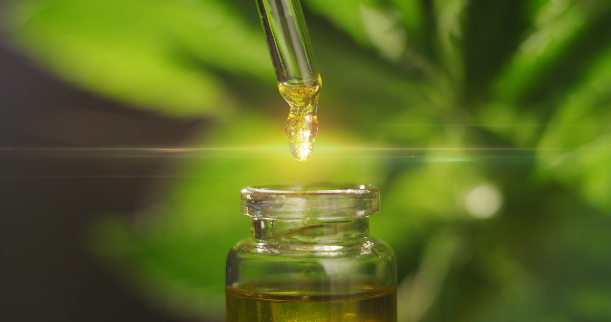 Il est possible d'inclure le CBD dans un régime minceur. © Kitreel, Adobe Stock