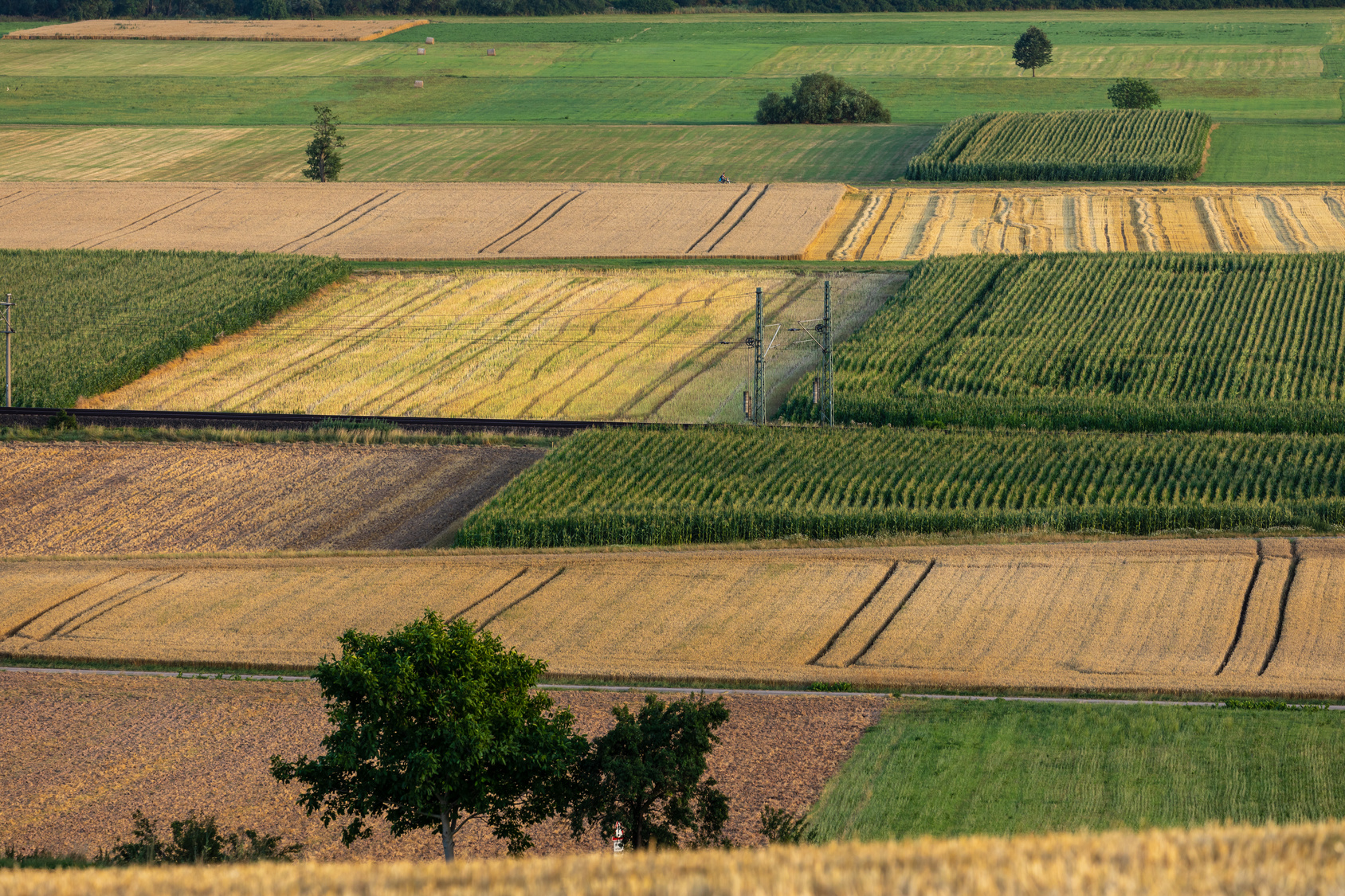 L'agriculture est au cœur des débats pour nourrir sans détruire la Terre. © Hecke71, Fotolia