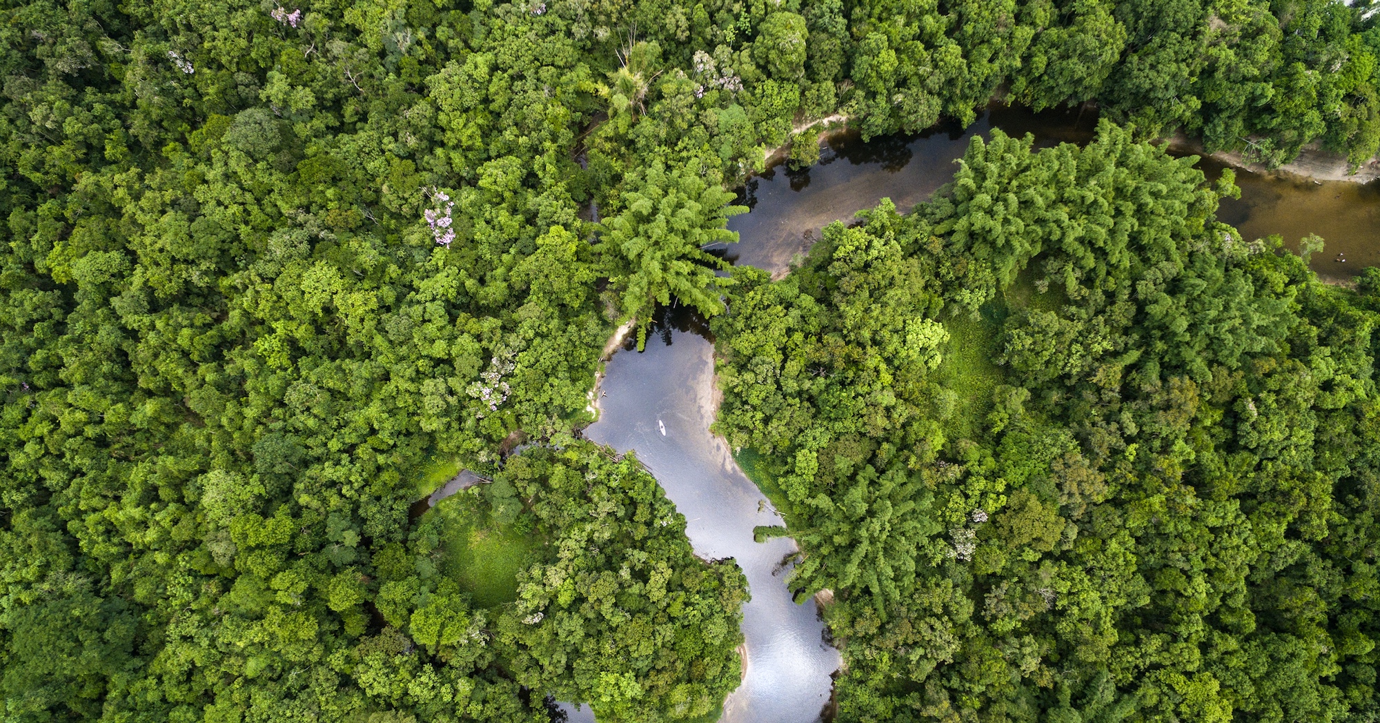 La forêt amazonienne fait partie des motions de protection adoptées par l'UICN, lors de son congrès à Marseille en septembre 2021.&nbsp; © Funai