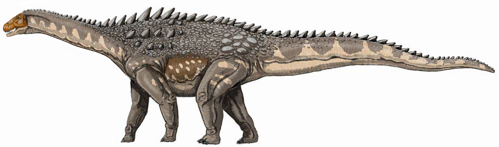 Les titanosaures, tel cet ampelosaure, étaient des dinosaures sauropodes. Ce groupe d’herbivores comprenait notamment l’argentinosaure, donc un reptile pesant 60 à 80 t et mesurant entre 30 et 40 m de long. © D. Bogdanov, Wikimedia commons, DP