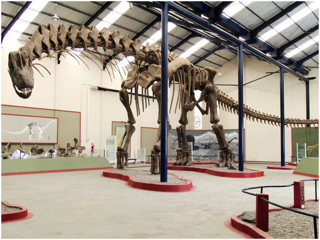 Cette reconstitution du squelette d'un&nbsp;Argentinosaurus huinculensis peut être observée au&nbsp;Museo Carmen Funes&nbsp;de Neuquén, en Argentine. Elle mesure 39,7 m de long, pour une hauteur de 7,3 m au-dessus de l'épaule. © Sellers&nbsp;et al., 2013,&nbsp;Plos One